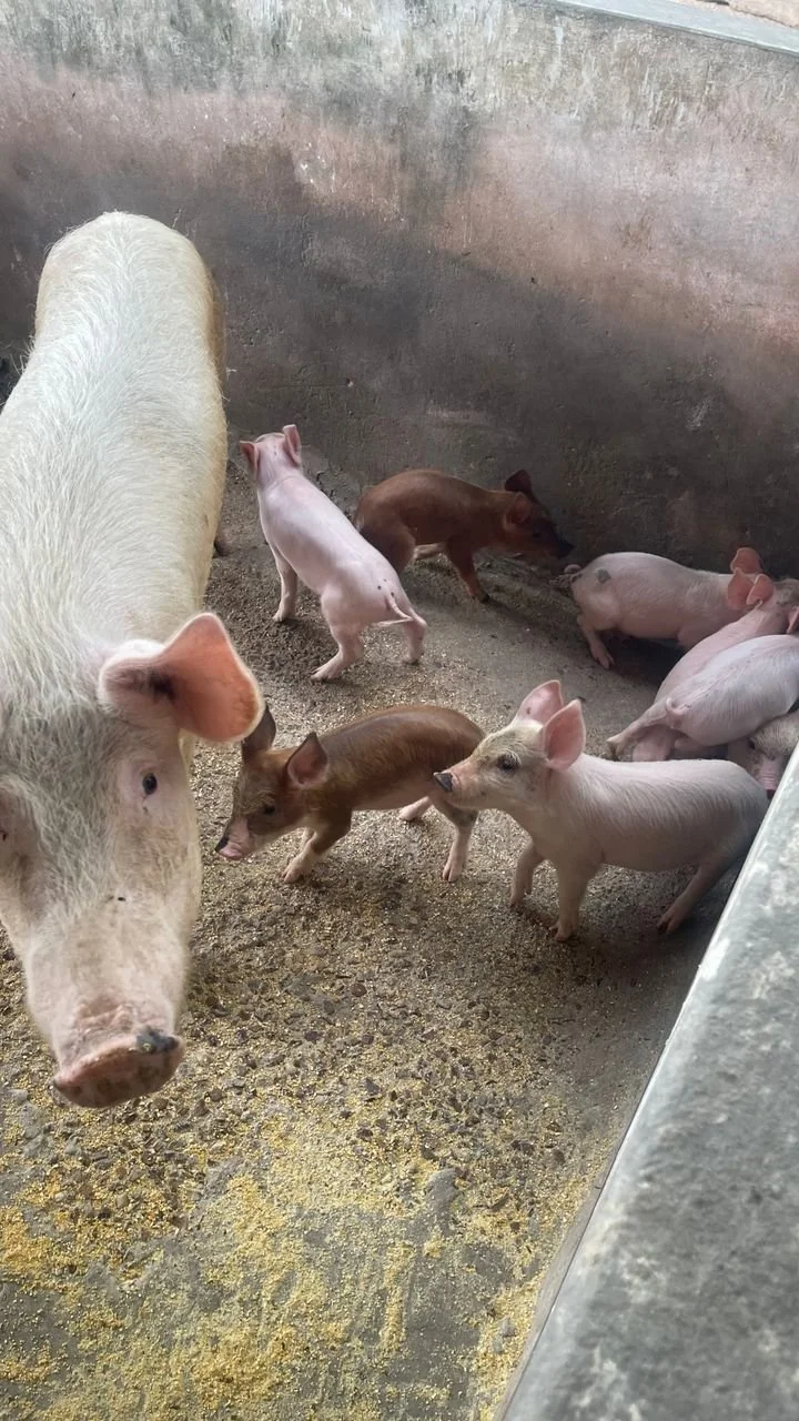 WhatsApp Image 2026-03-10 at 2.06.36 PM (1).jpeg