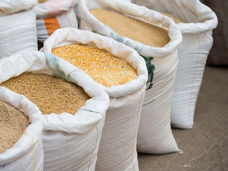 WhatsApp Image 2026-03-10 at 2.22.50 PM (4).jpeg