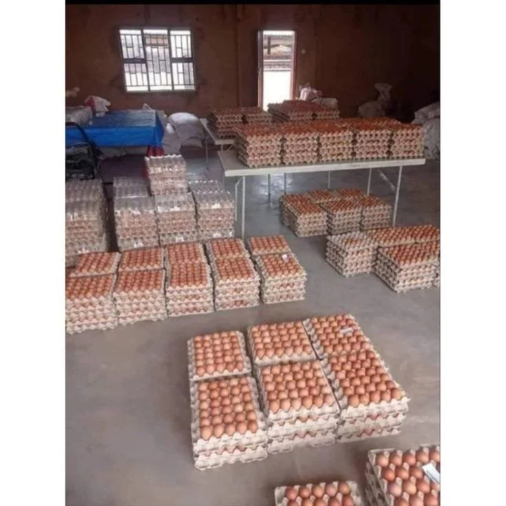 WhatsApp Image 2026-03-10 at 2.06.37 PM (1).jpeg