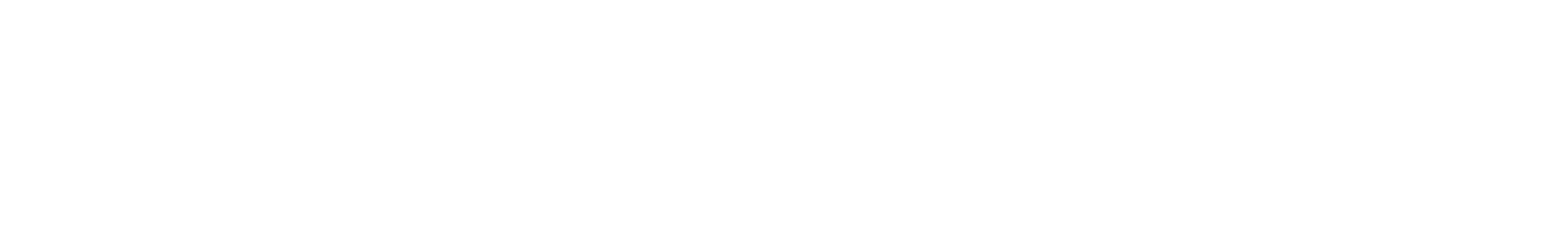 Afbeelding van de tekst 'Satelliet Group' in witte letters op een zwarte achtergrond.