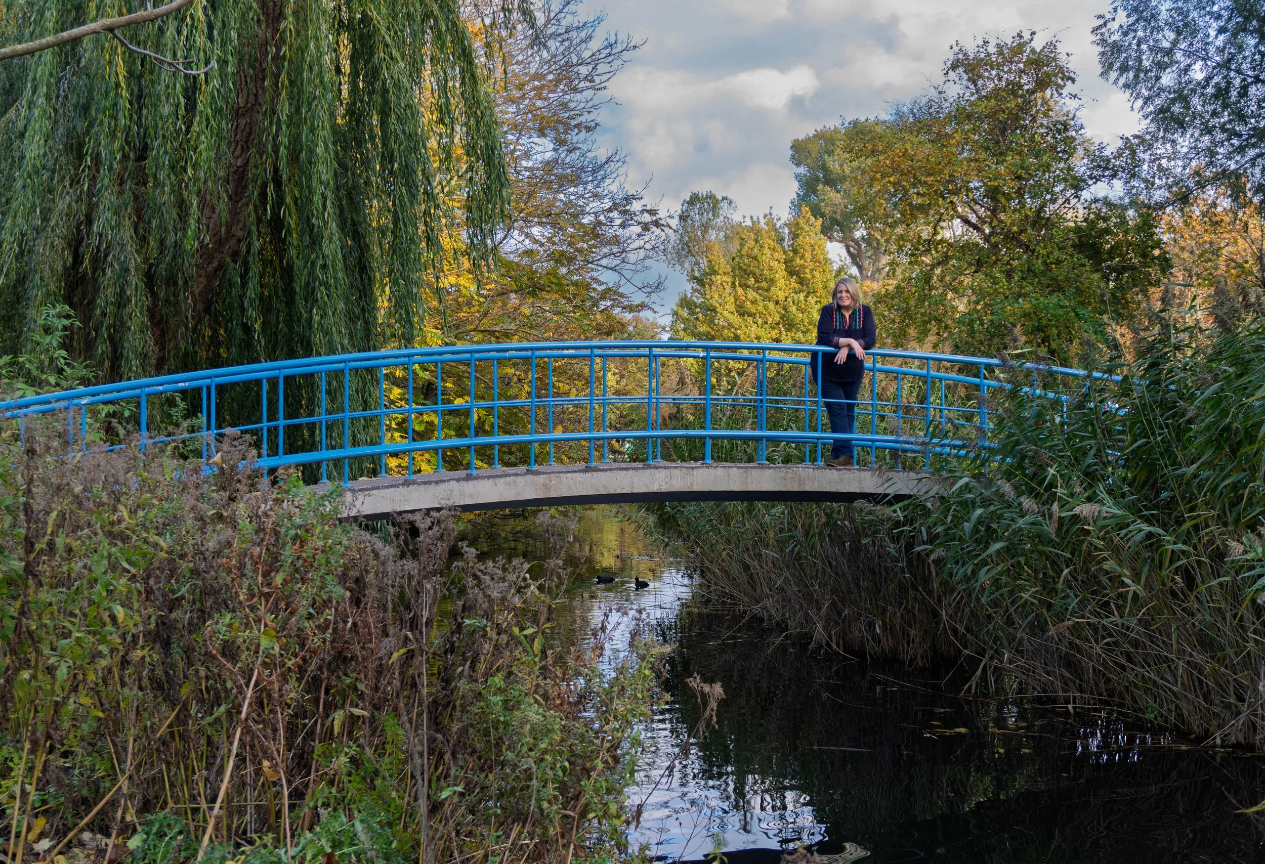 A woman standing on a blue bridge over a small creek in a park with trees showing fall foliage.