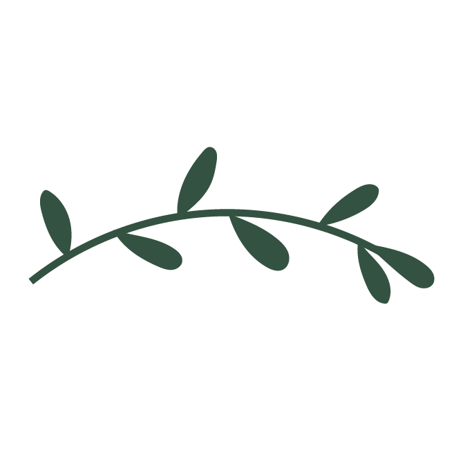 Simple illustration of a curved vine with leaves.