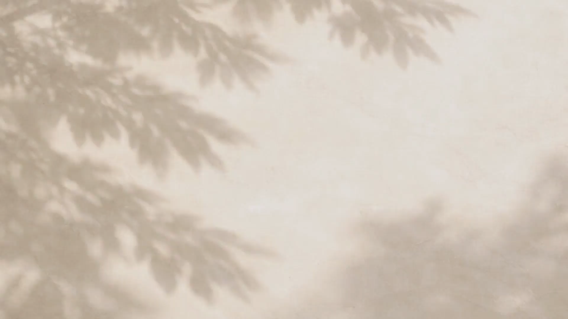 frame_001.png