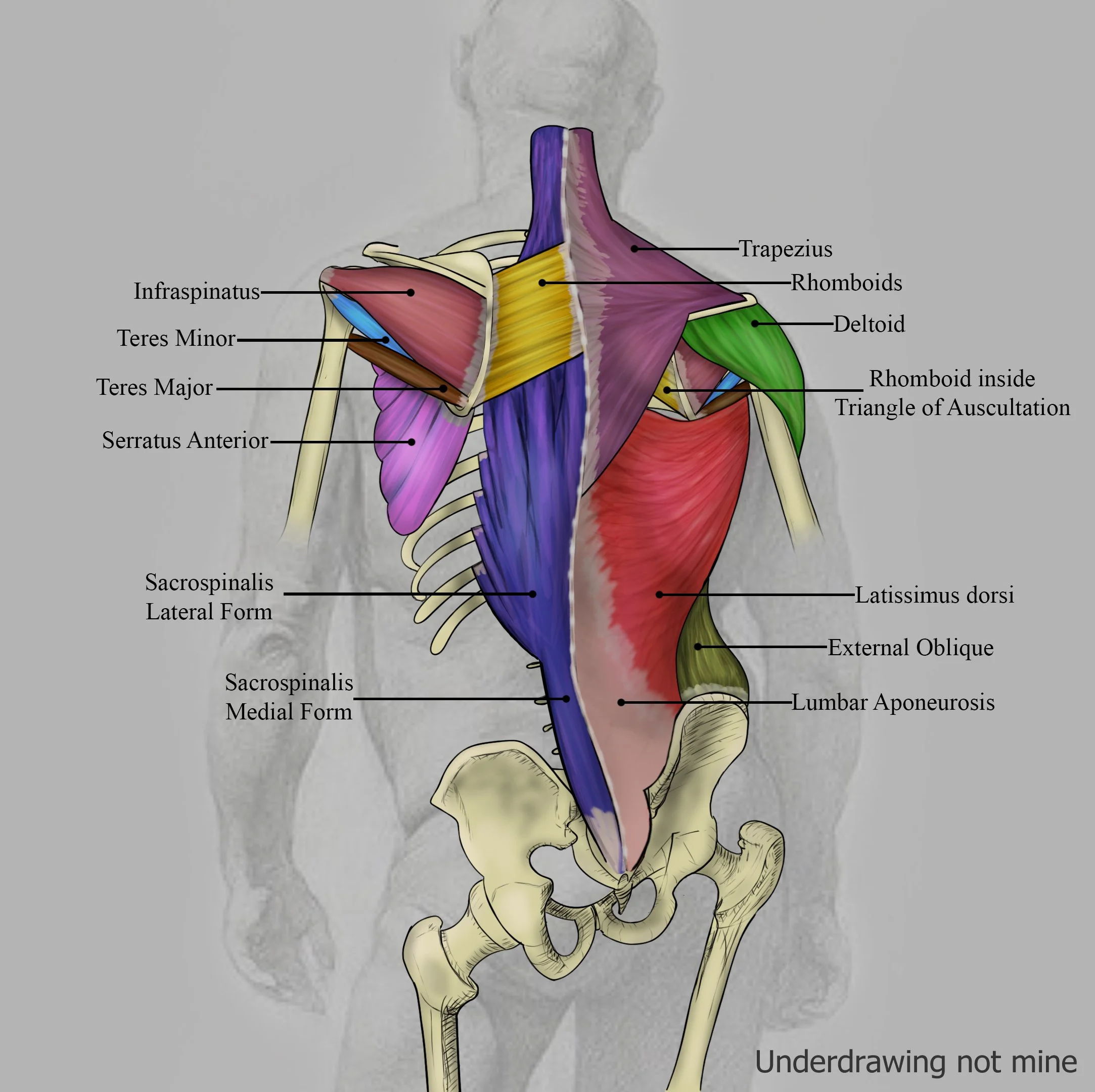 Diagram Final 2.jpg