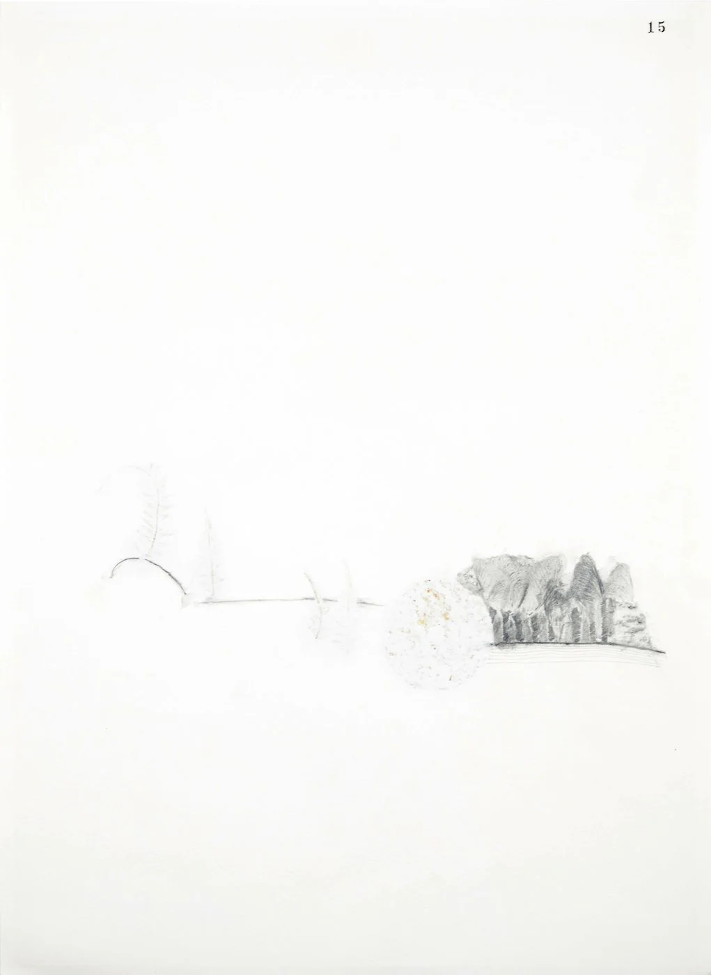 No. 15, 2019, Graphite and carbon on paper, 45 x 29.5 cm