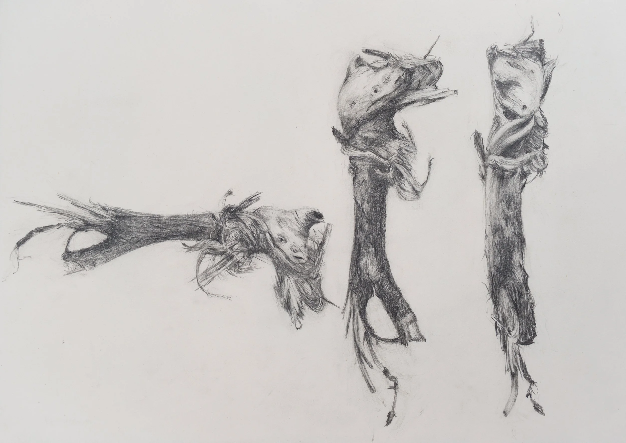 Turning the Drift V, 2025, Graphite on Paper, 45 x 29.5 cm