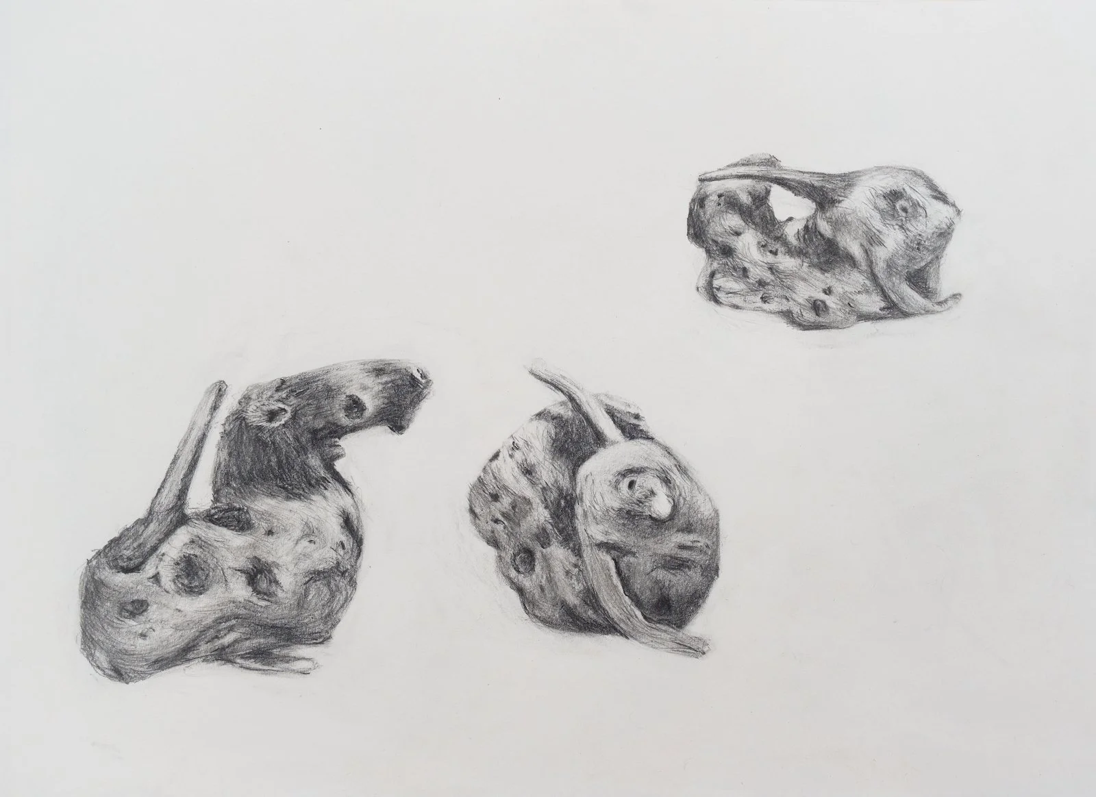 Turning the Drift III, 2025, Graphite on Paper, 45 x 29.5 cm