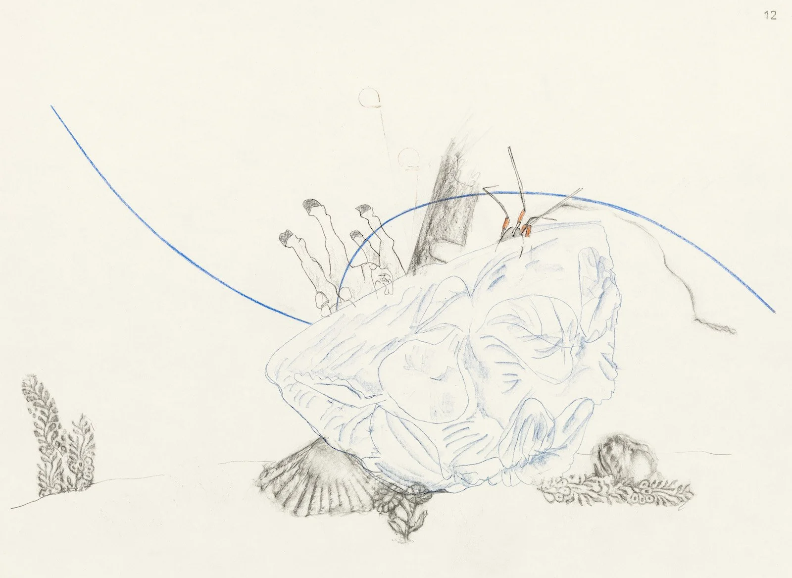 Stills from an Imaginary Film V, 2025, Graphite, Coloured Pencil, Ink on Paper, 45 x 29.5 cm