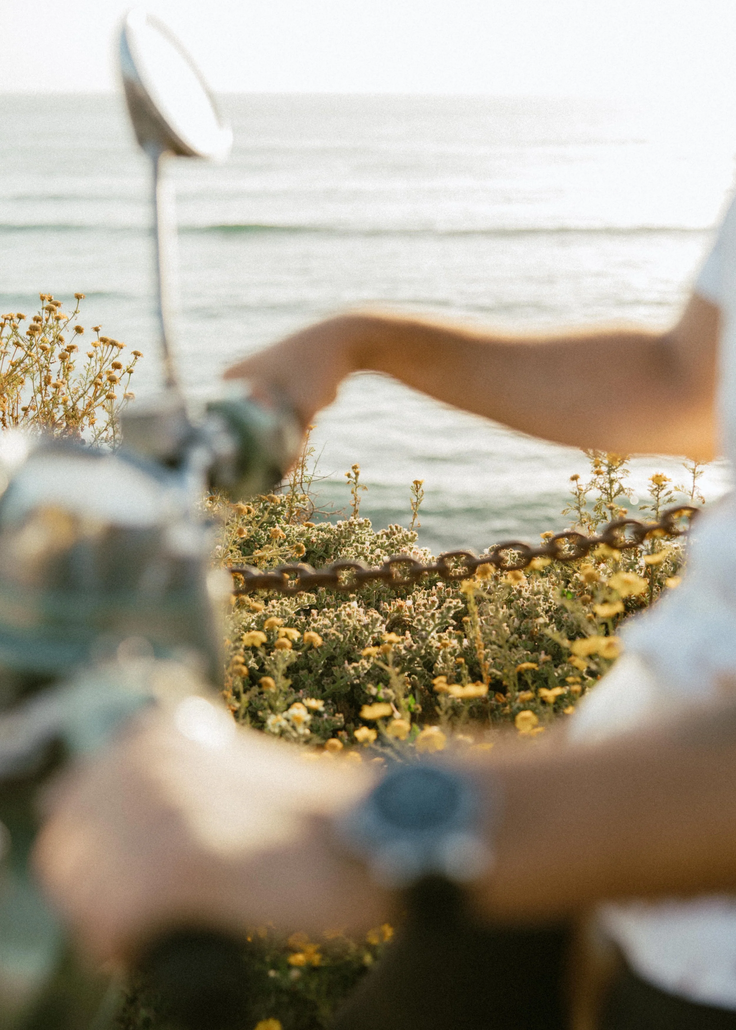 sydney&pietroengagement-59.jpg