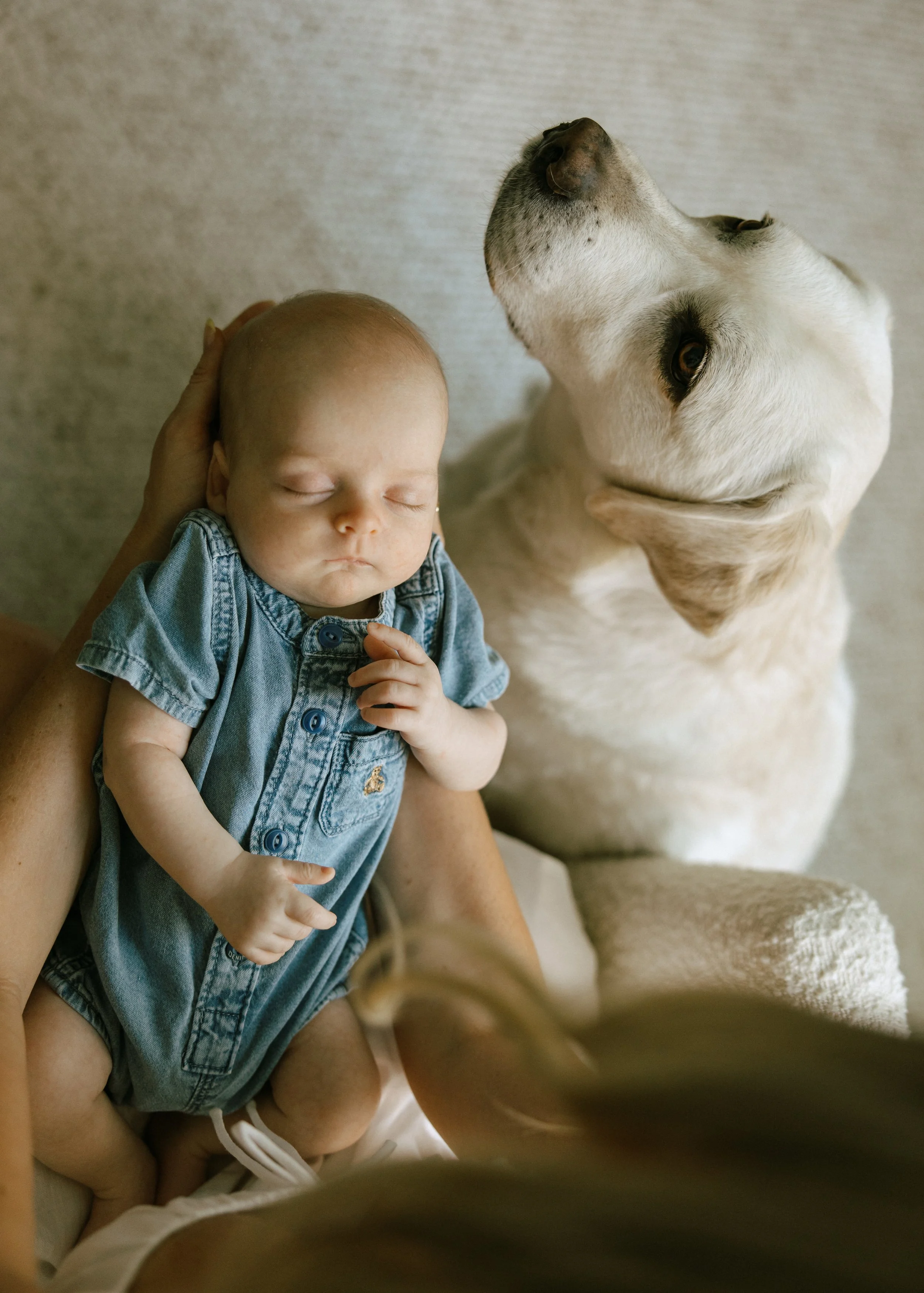 augustnewborn-81.jpg