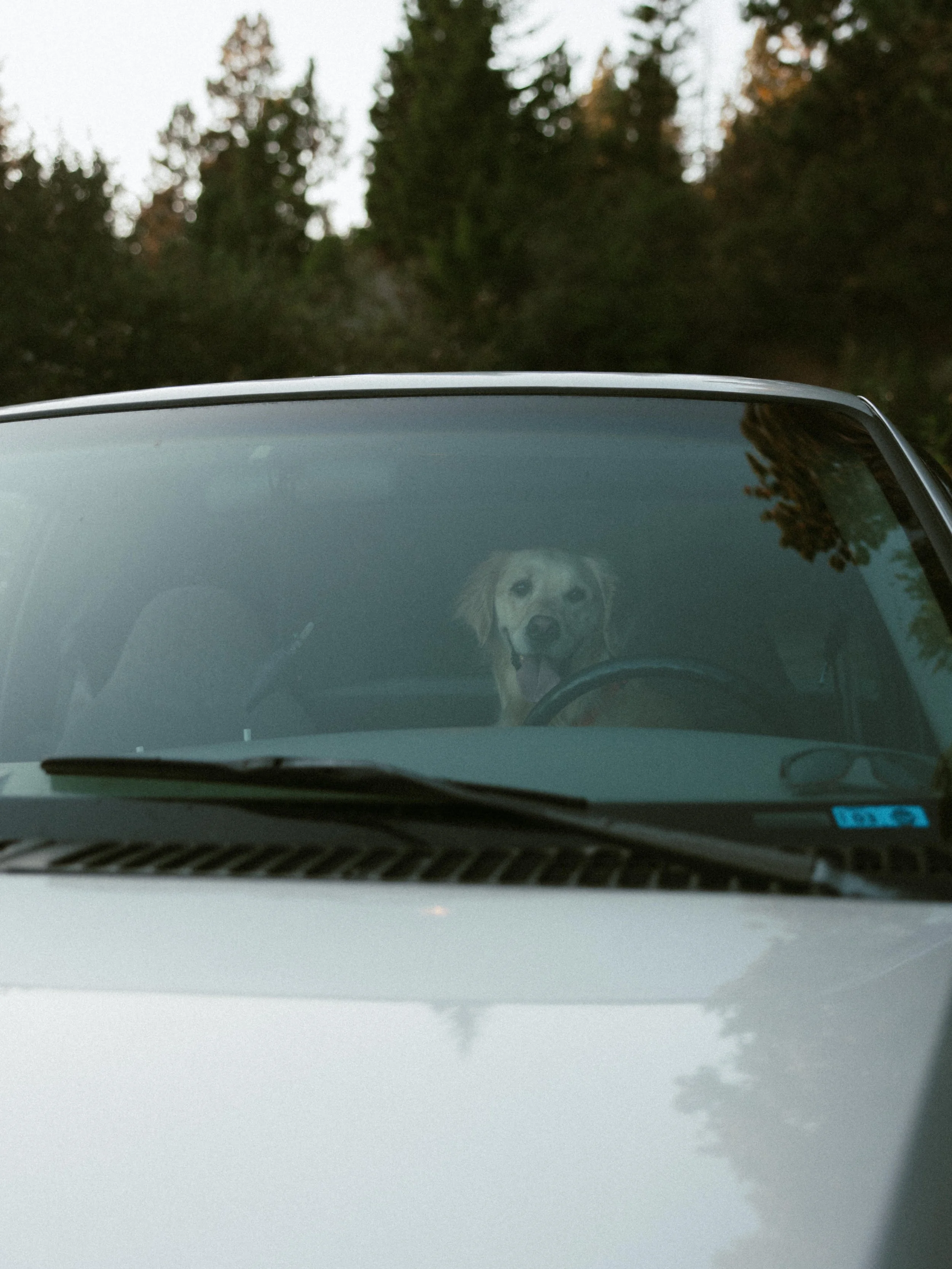 kelly&chanceengagements-106.jpg