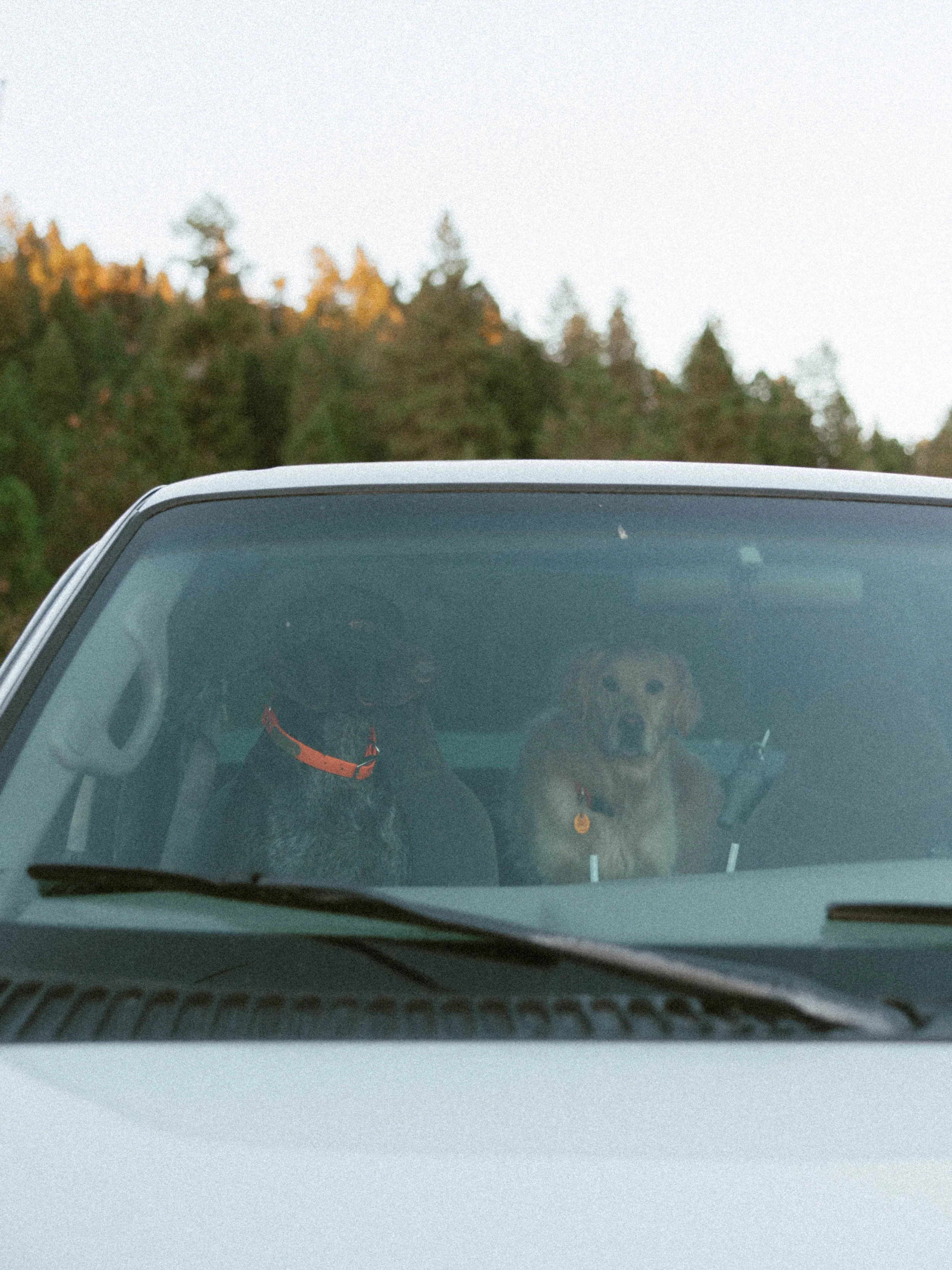 kelly&chanceengagements-172.jpg