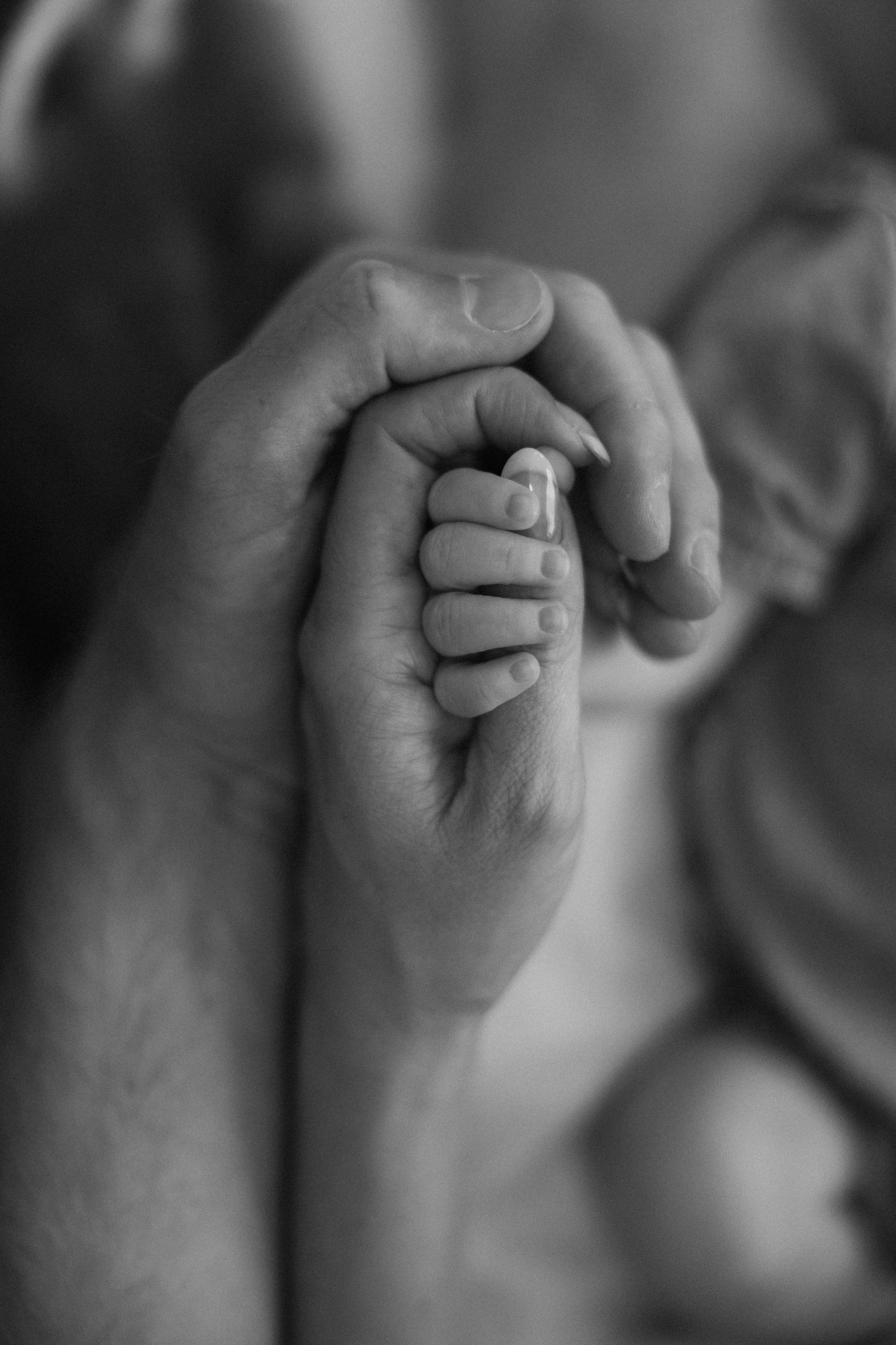 augustnewborn-98.jpg