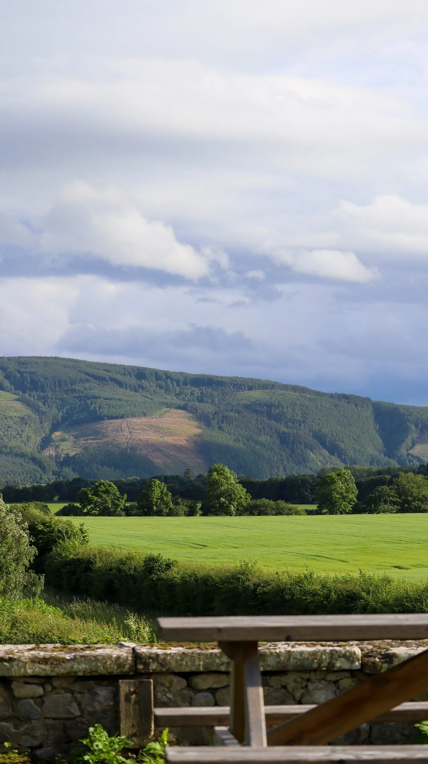 Mains of Orton-10.jpg