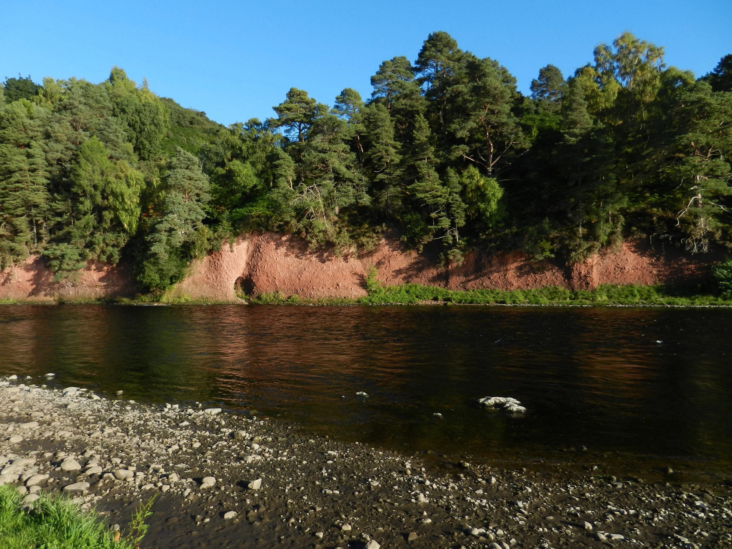 DSCN0170.jpg