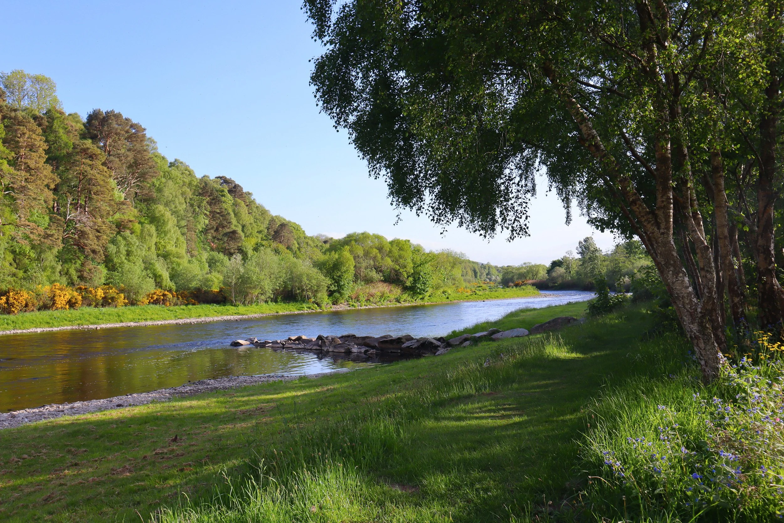 River-01.jpg