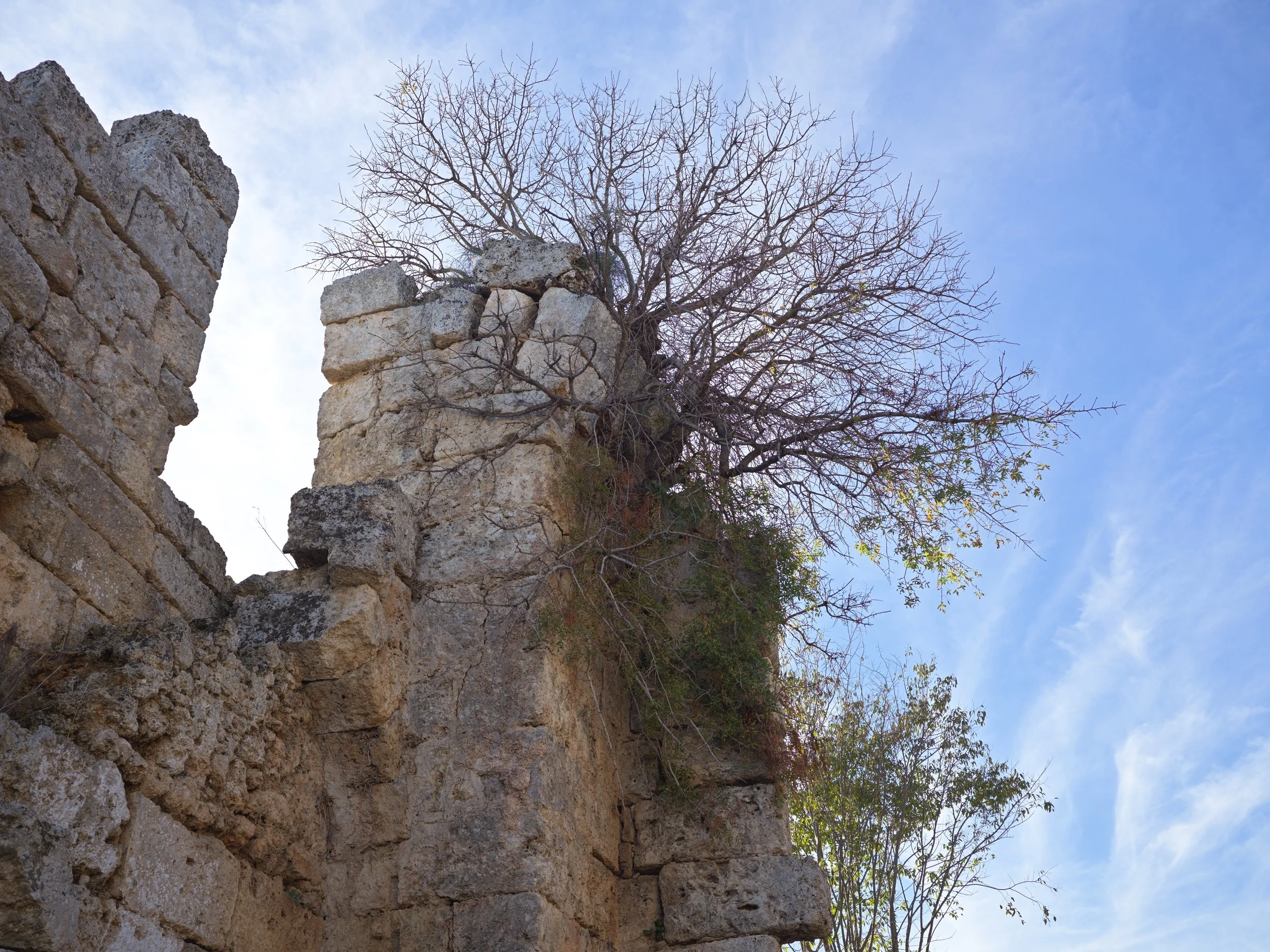 Broken stone wall and a leafless tree against a blue sky with wispy clouds.