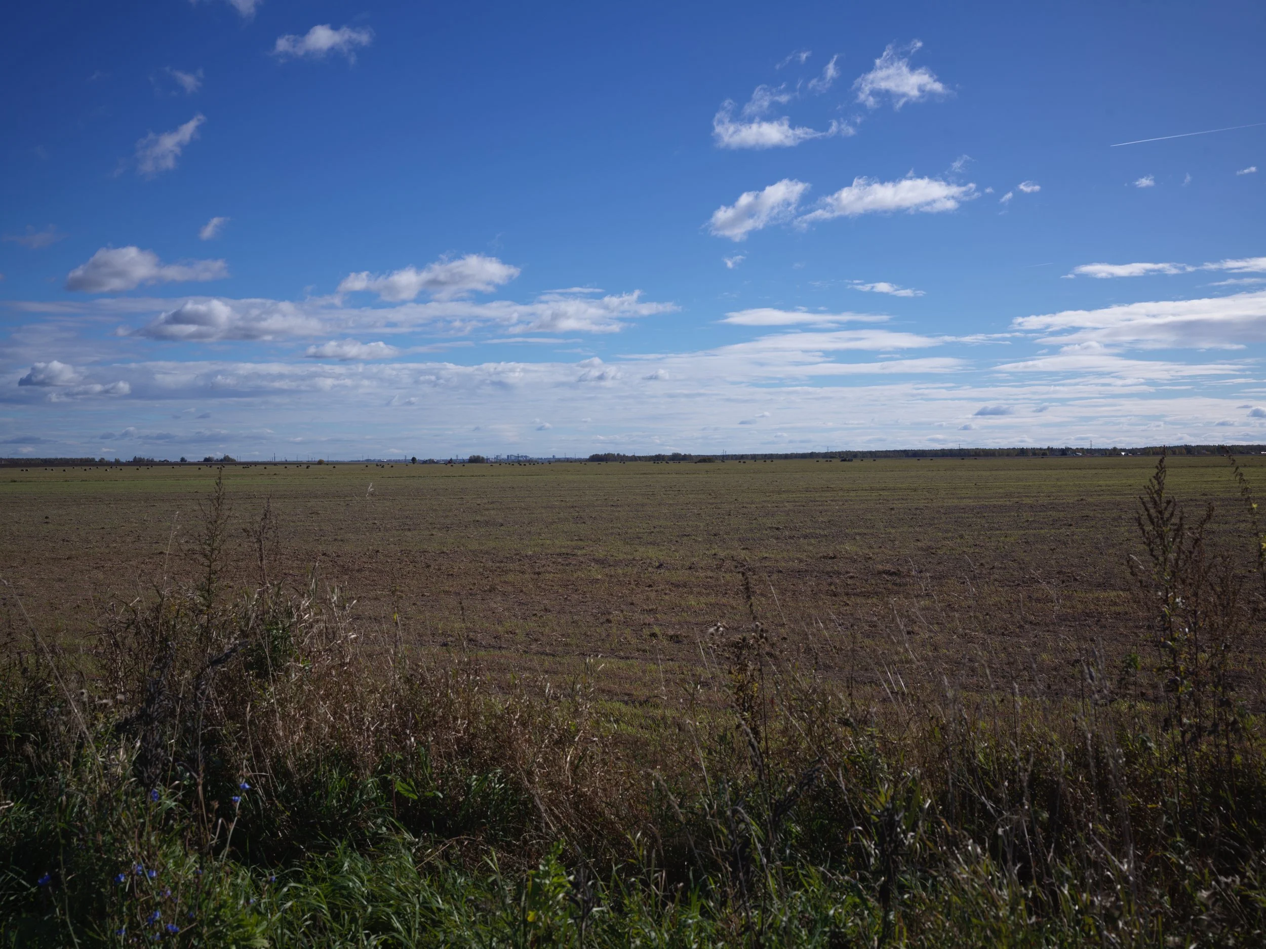 A vast open field with sparse vegetation under a bright blue sky with scattered clouds.
