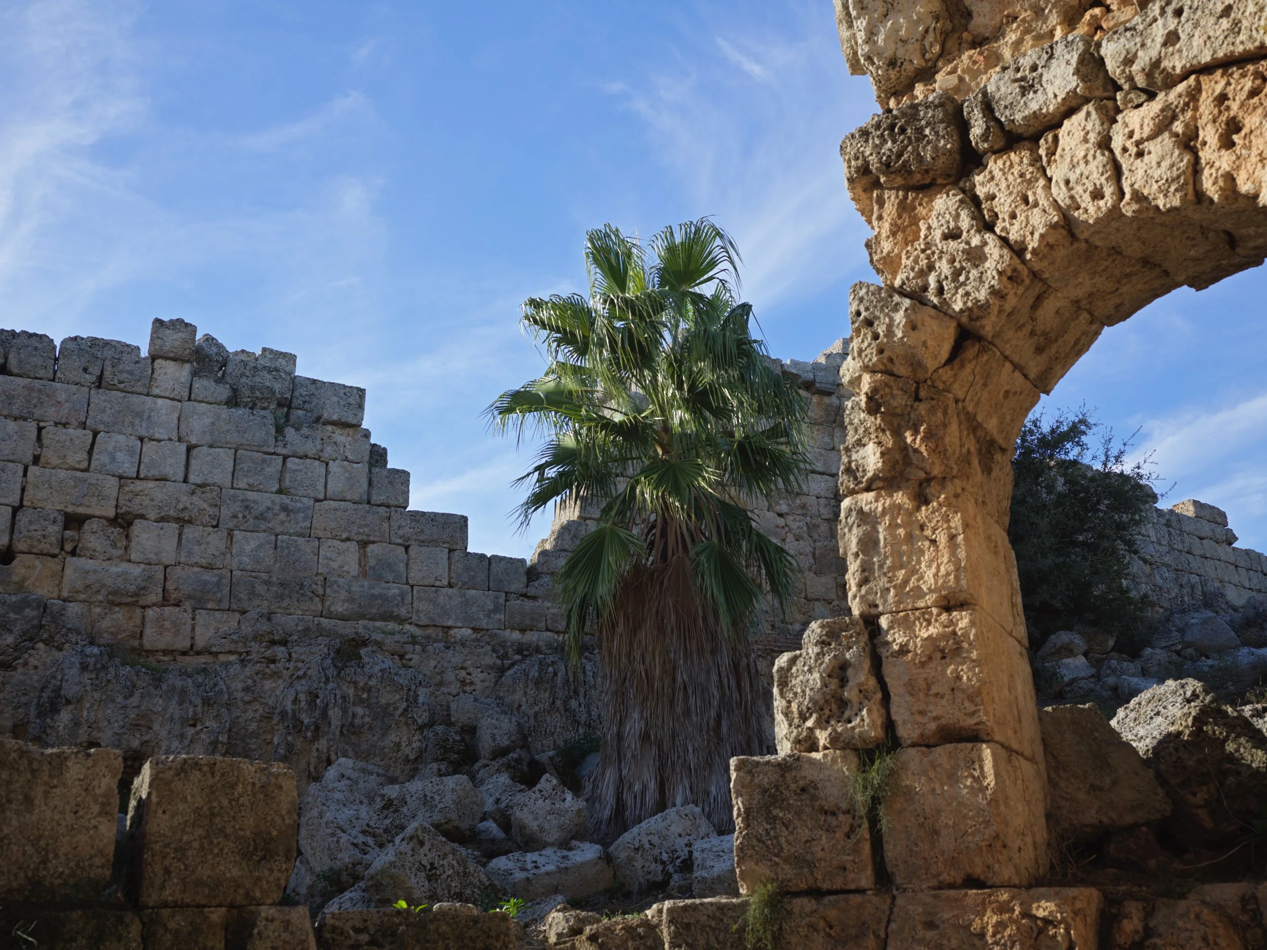 Ancient stone ruins with an archway, a palm tree, and a blue sky with wispy clouds.