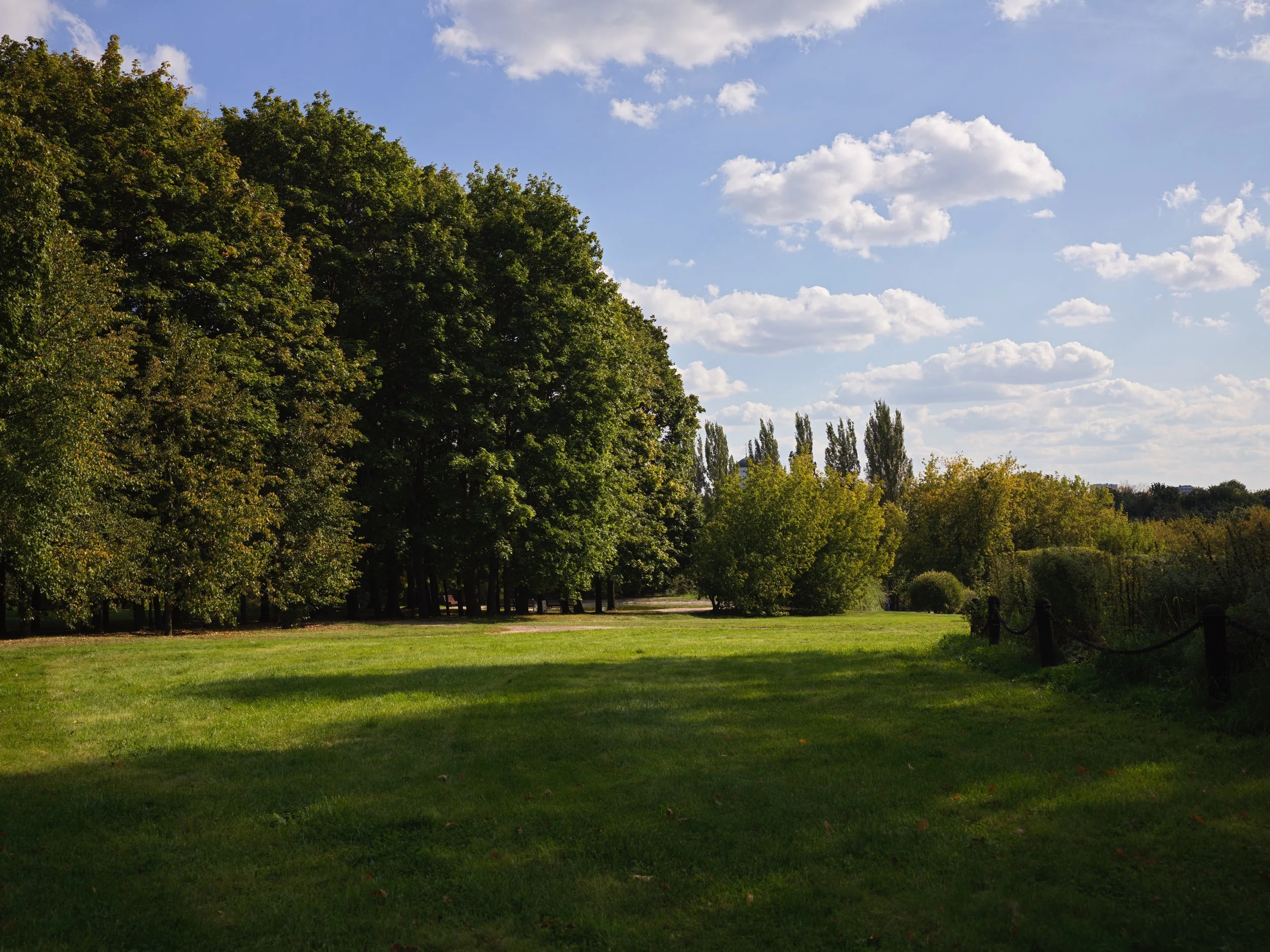 A park with lush green grass, a variety of trees, and a chain-linked fence on the right side, under a partly cloudy sky.
