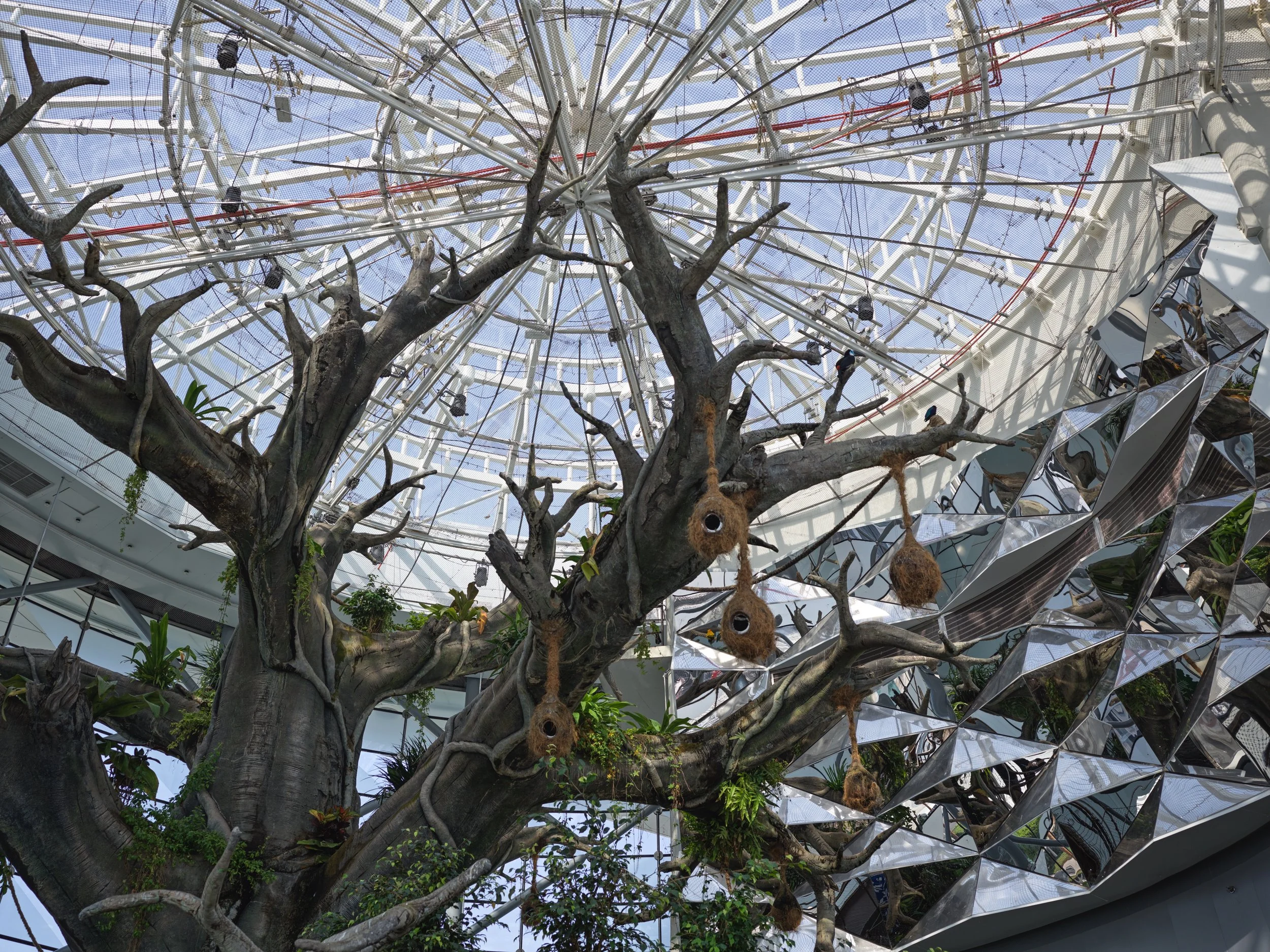 A large indoor glass ceiling with a tree growing inside, decorated with hanging bird nests made of natural materials.
