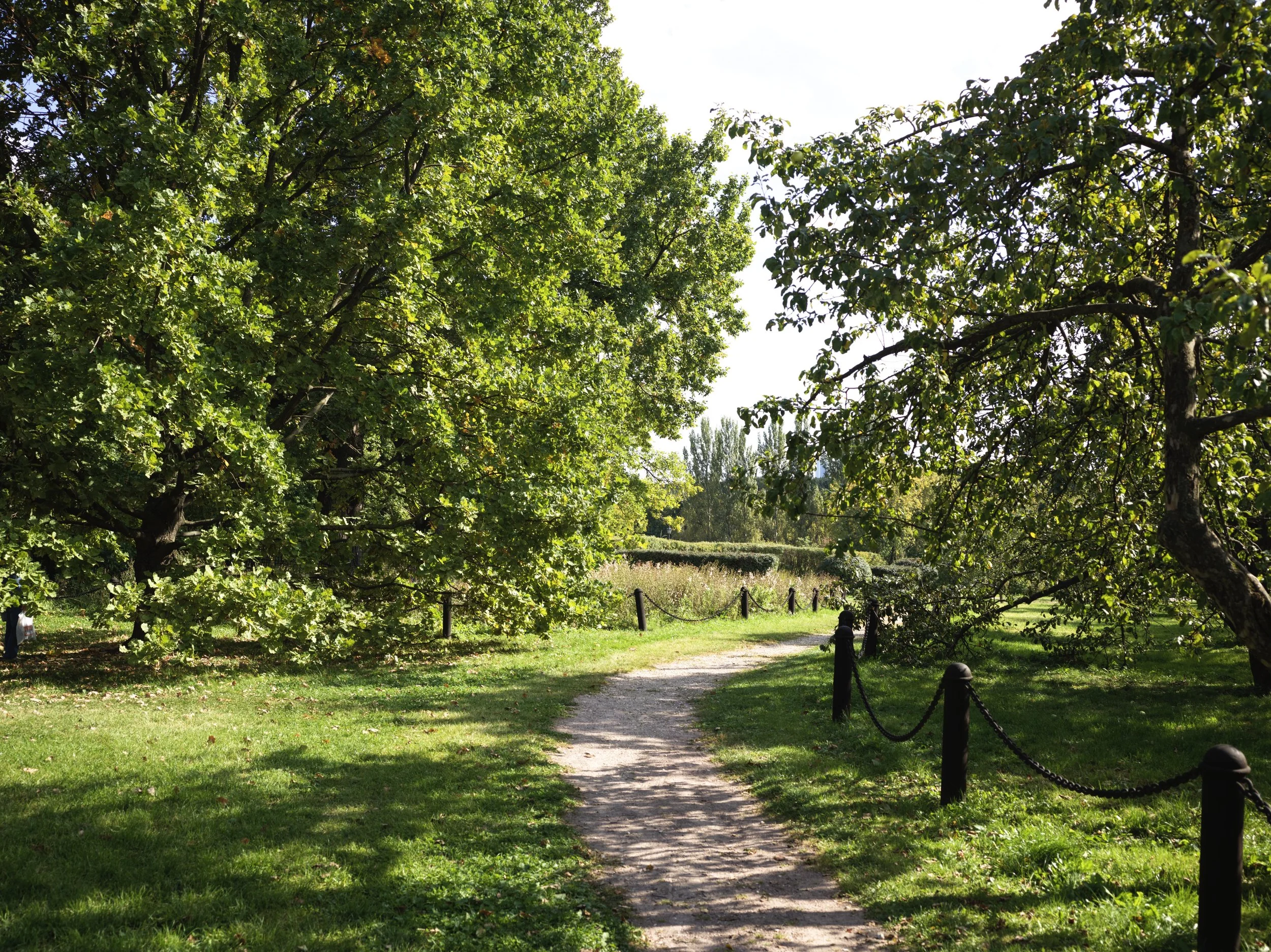 A dirt pathway in a green park, bordered by a black chain link fence, surrounded by trees with lush green leaves on a sunny day.