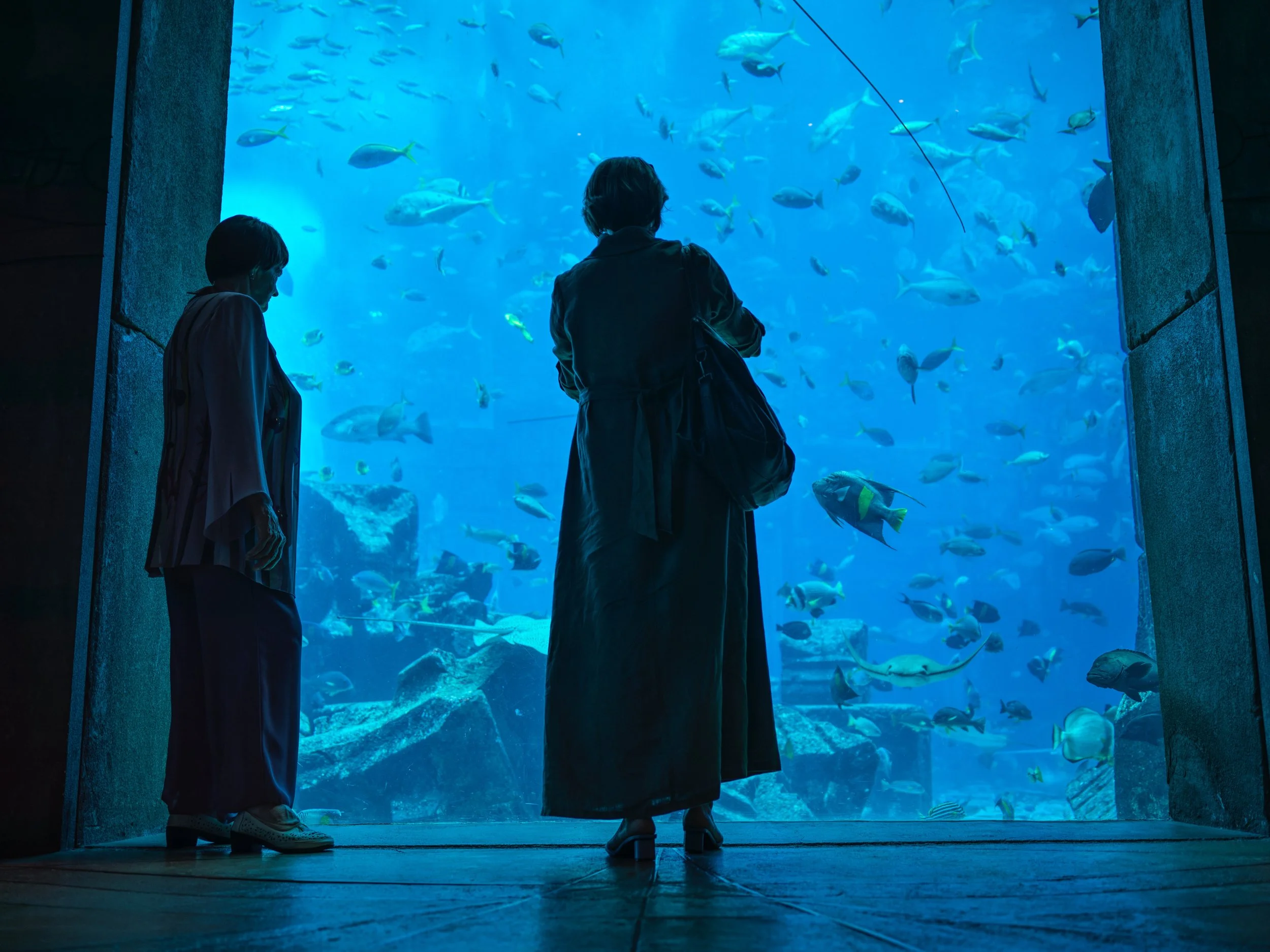 Two people viewing an aquarium tank filled with various fish through a large glass window.
