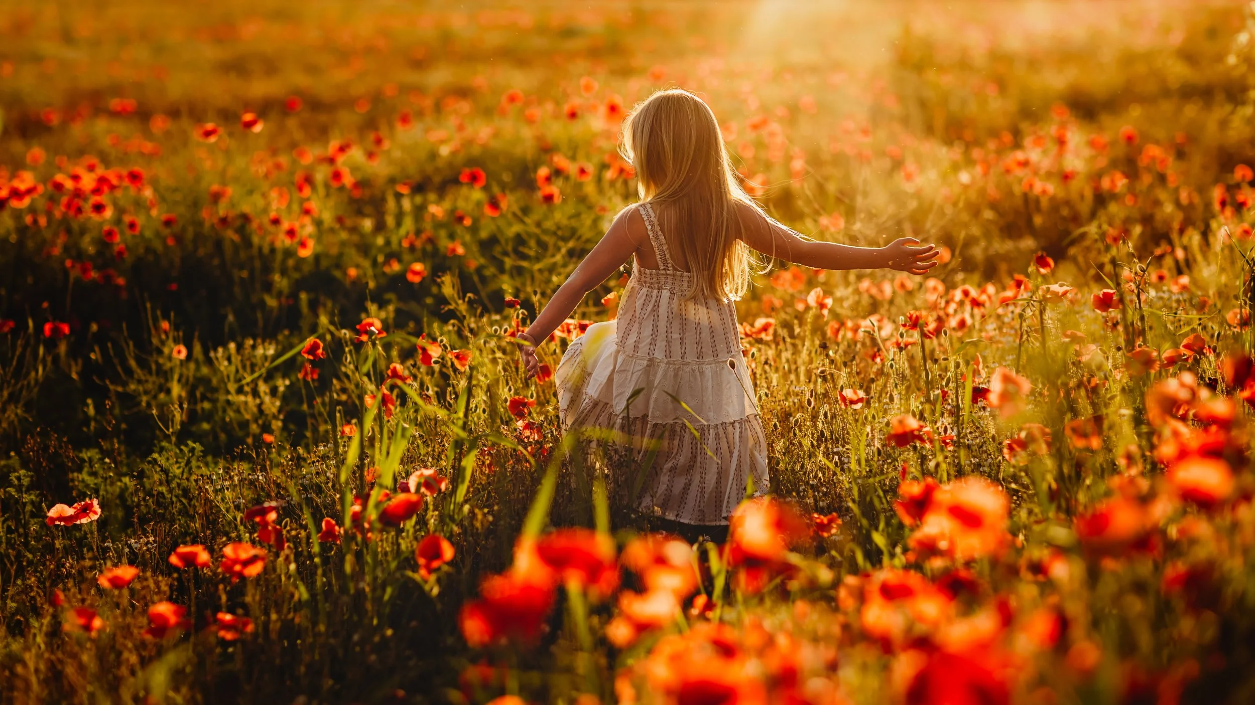 Child poppy field photography Oxfordshire