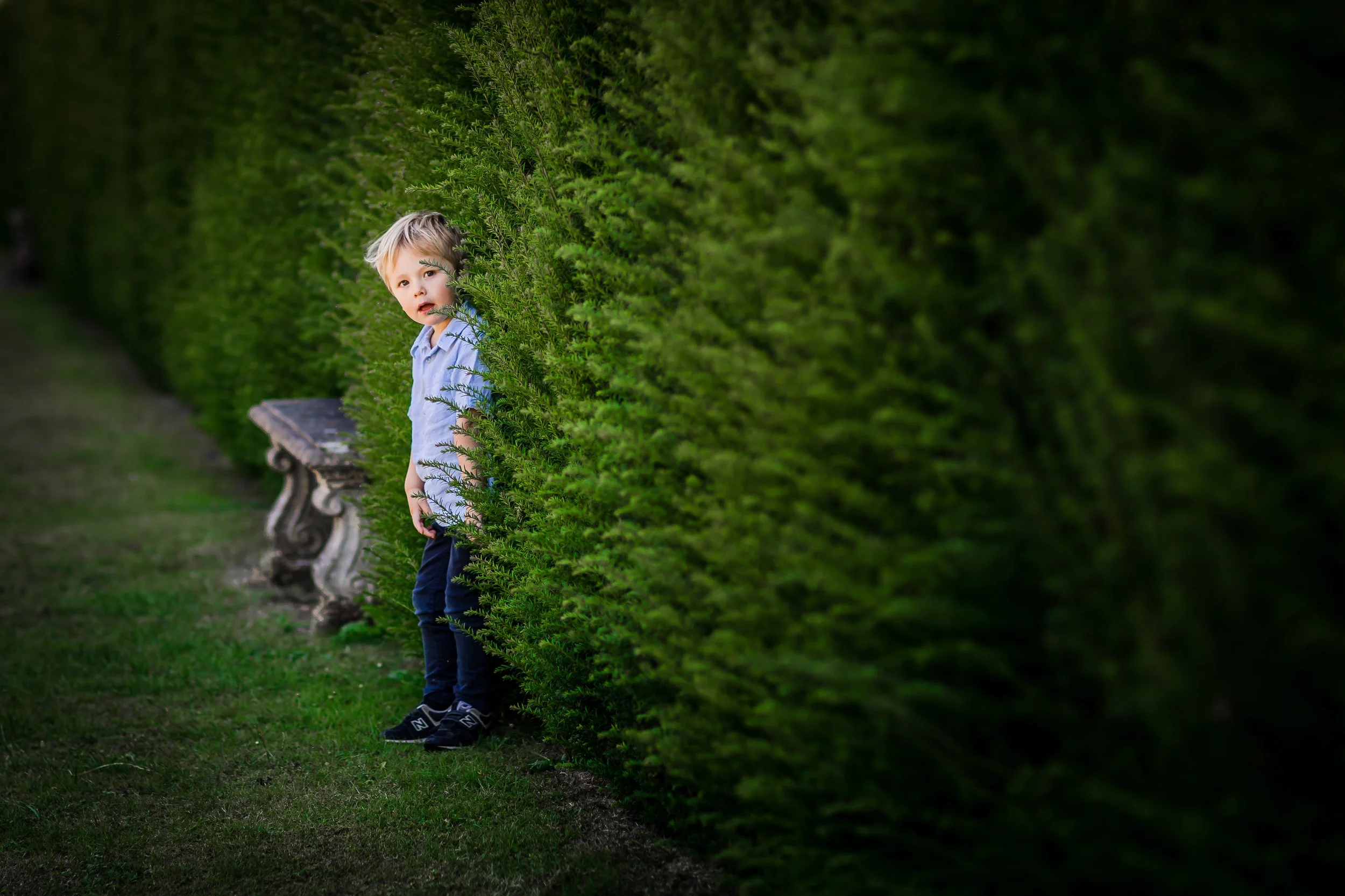 A young boy with blonde hair, wearing a light blue shirt and dark pants, standing behind a lush green hedge and peeking out, with a park bench nearby.