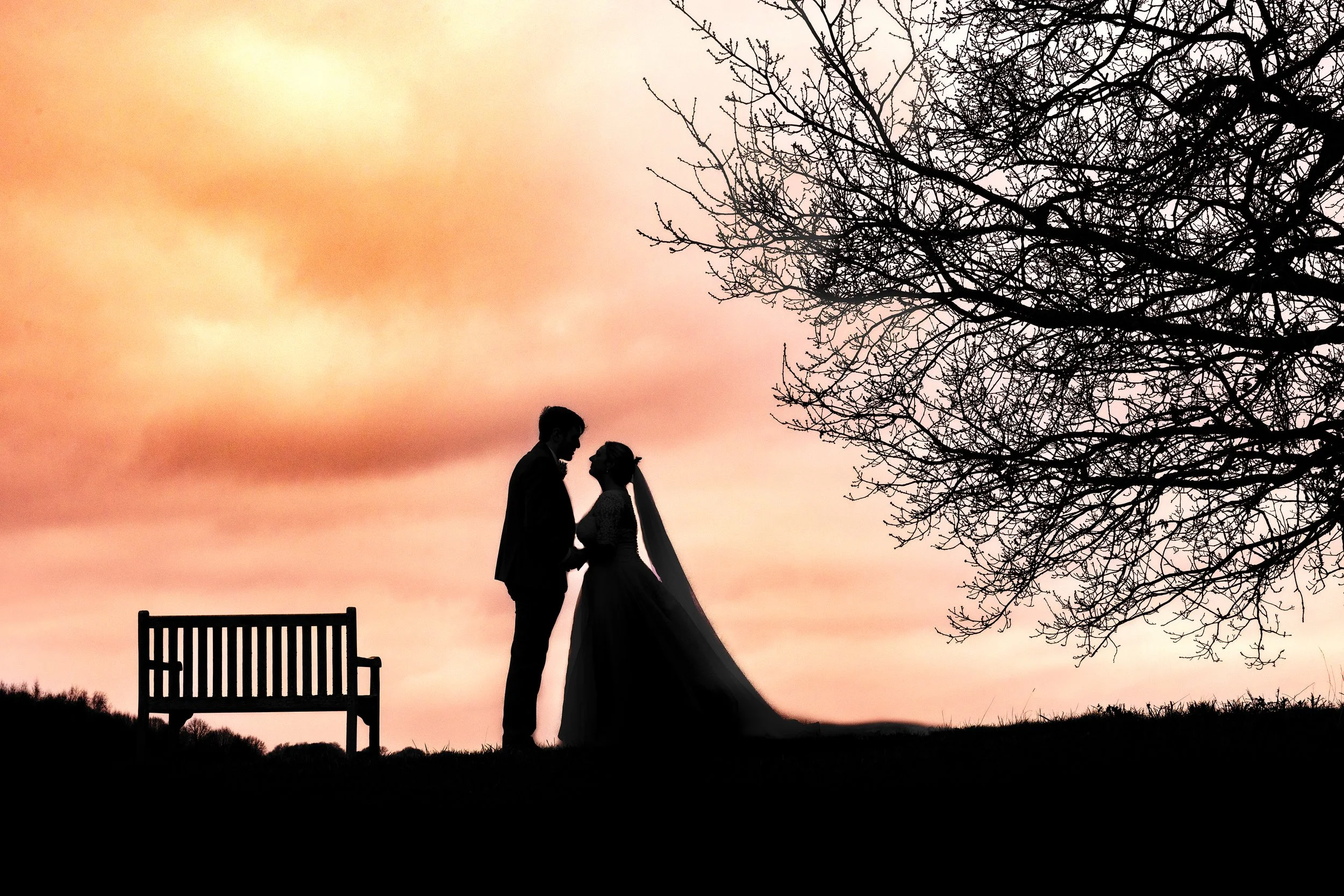 Silhouette of a bride and groom holding hands on a hill with a bench, a tree with bare branches, and a colorful sunset sky in the background.