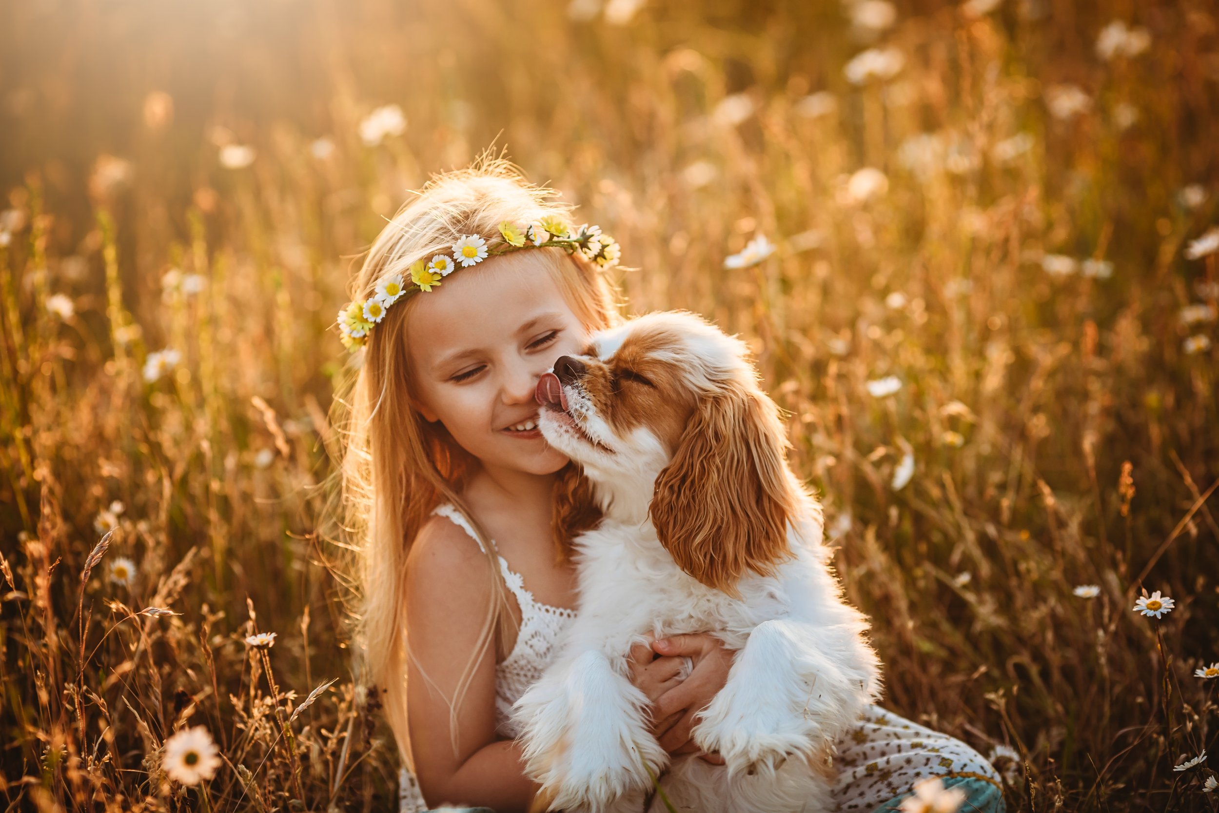 A young girl wearing a daisy flower crown holding a puppy in a field of wildflowers during sunset.