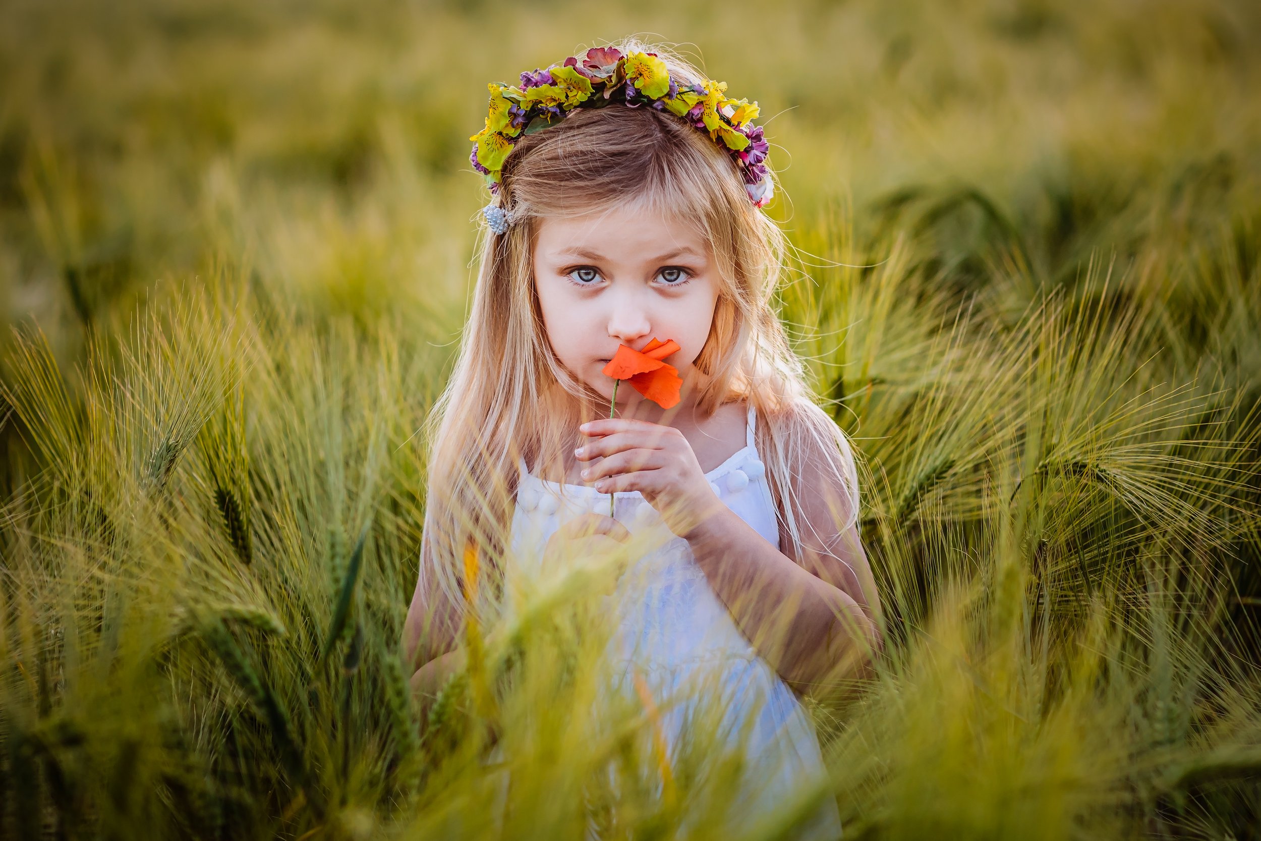 A young girl with long blonde hair, wearing a white dress and a colorful flower crown, sitting in a field of tall grass or wheat, holding and smelling a bright orange flower.
