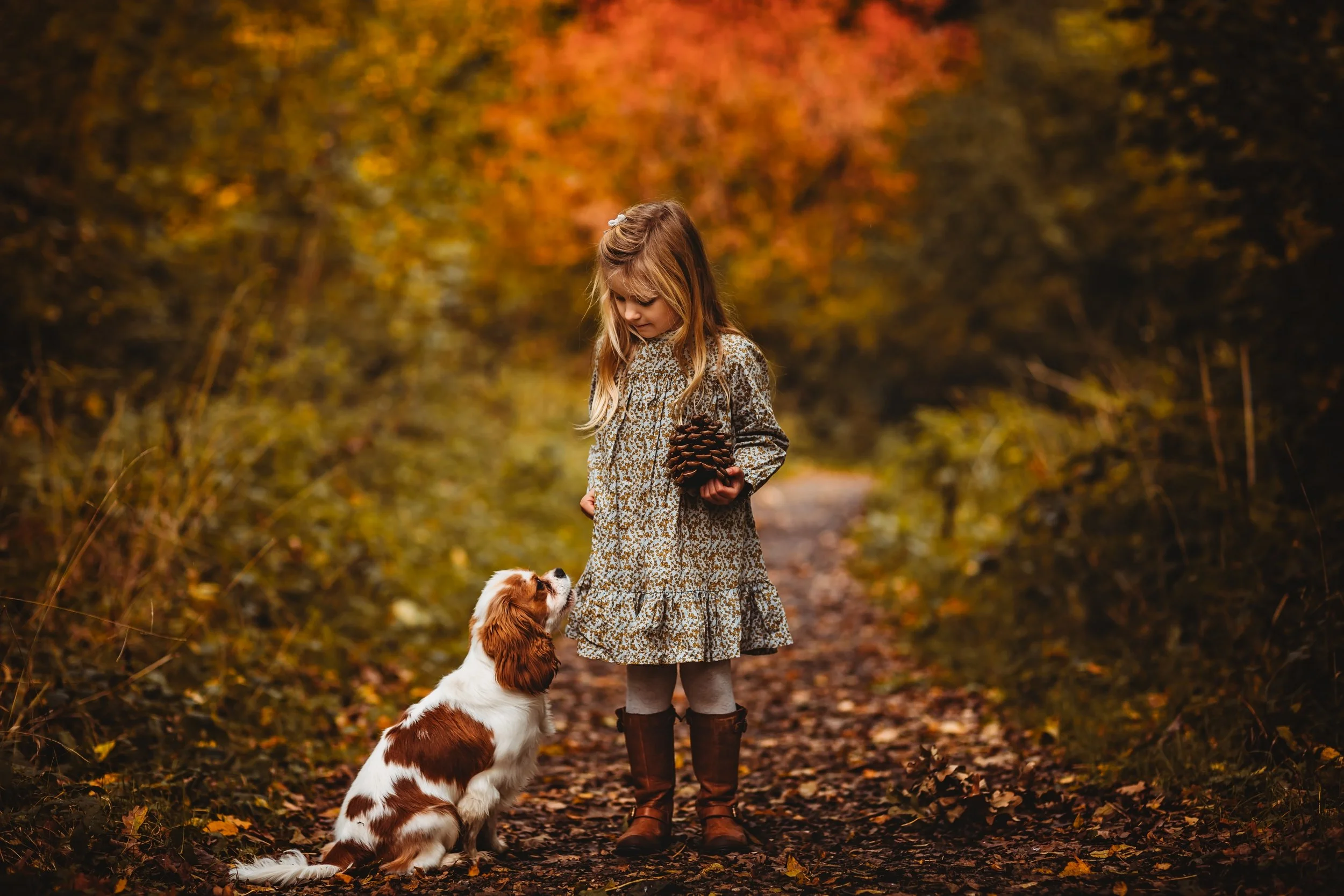 A young girl in a floral dress standing on a wooded trail holding a pine cone, looking at a puppy sitting on the ground in front of her, with autumn leaves and trees with fall colors in the background.
