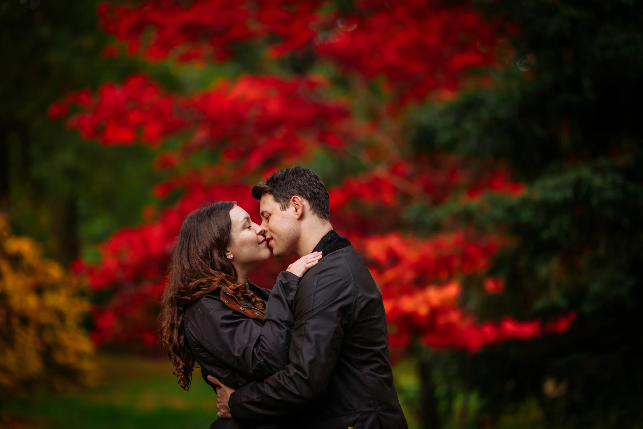 A couple kissing in front of a tree with bright red foliage