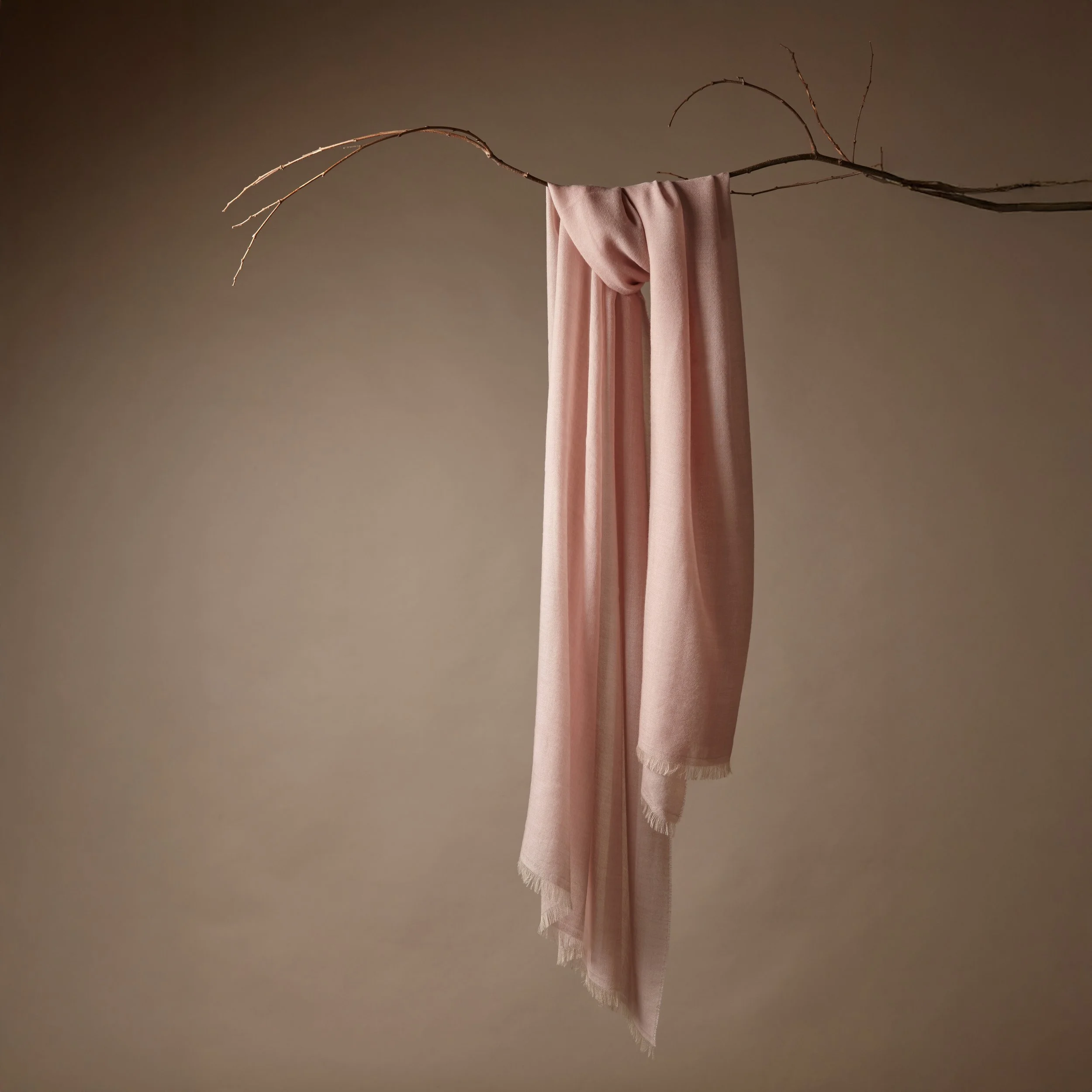 Un pezzo di stoffa rosa appeso a un ramo secco, sospeso in aria con uno sfondo neutro.