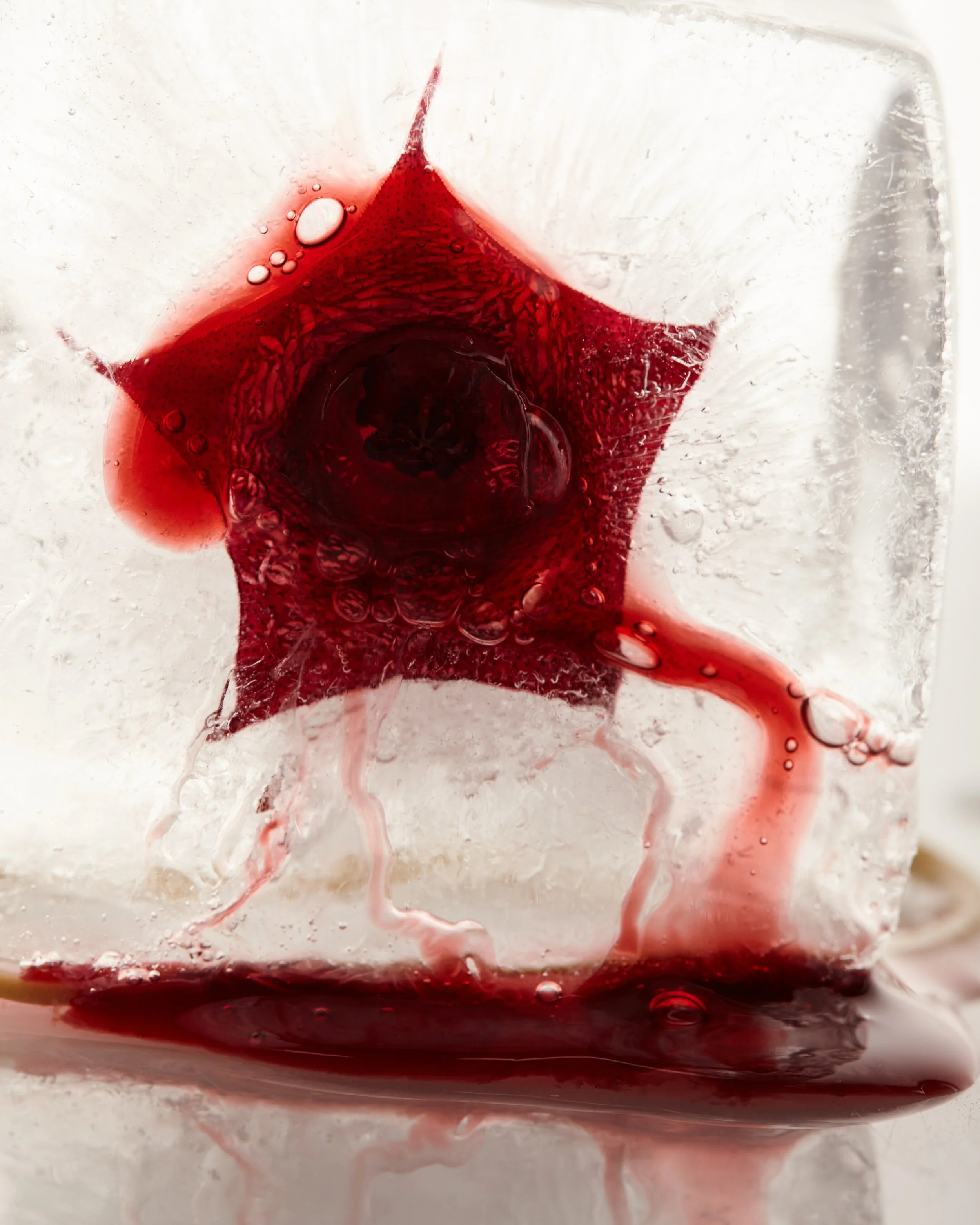 Un cubetto di ghiaccio con una fetta di limone e un fiore rosso all'interno, con un contenitore di bevanda rossa che cola dal basso.