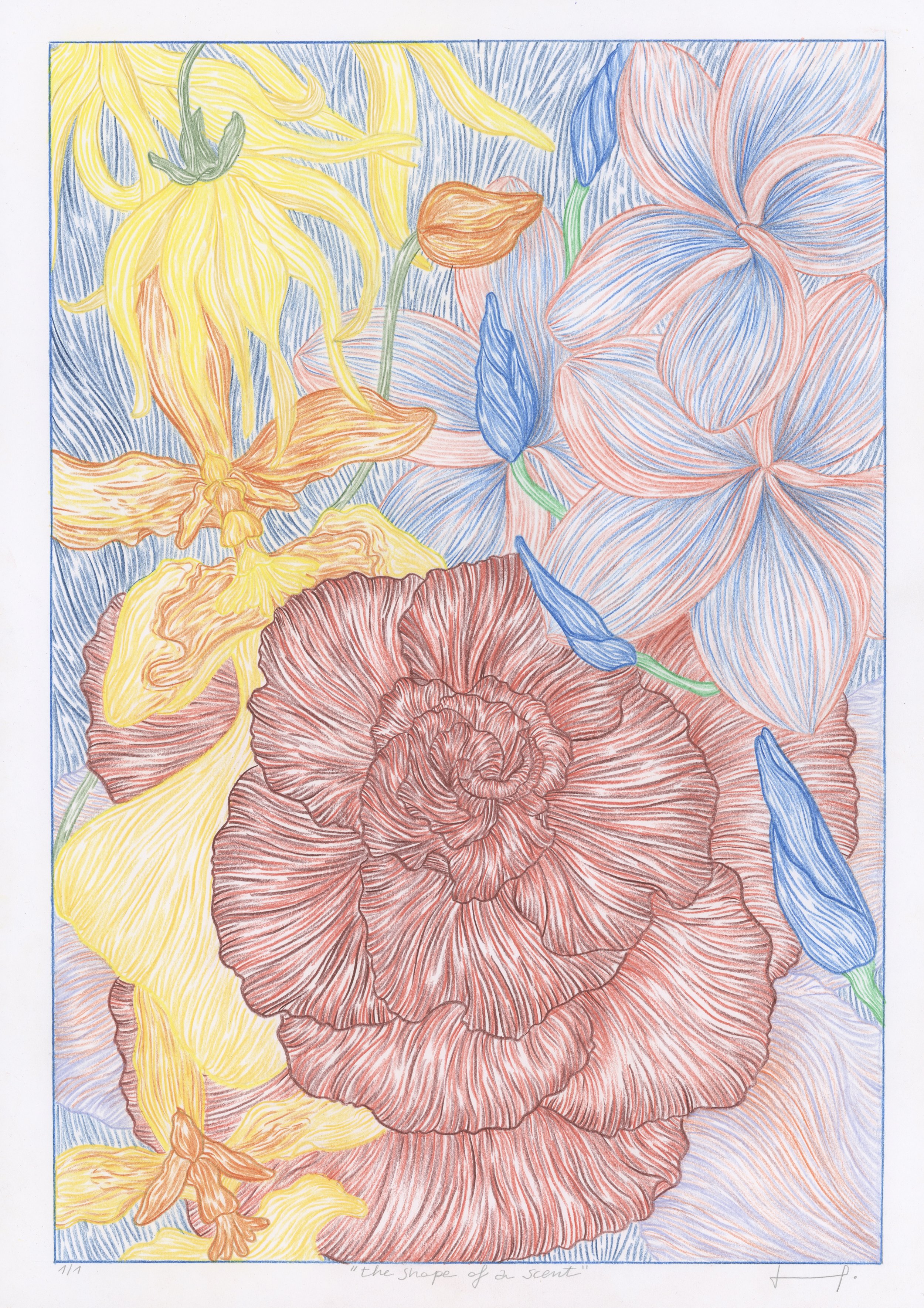 the_shape_of_a_scent-a3.jpg