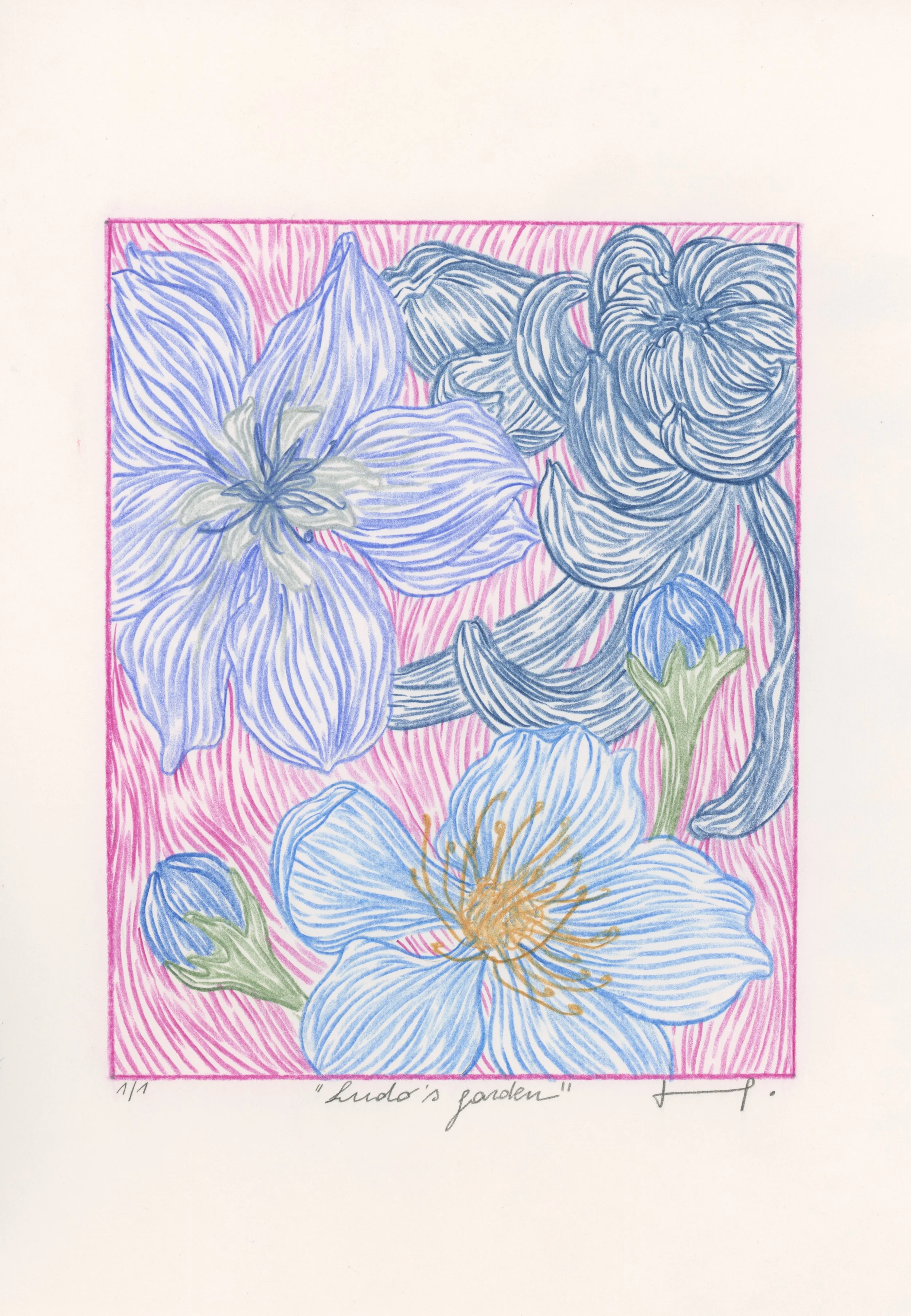A colorful drawing of blue and purple flowers with green leaves on a pink striped background. The drawing is signed and titled "Ludo's garden".