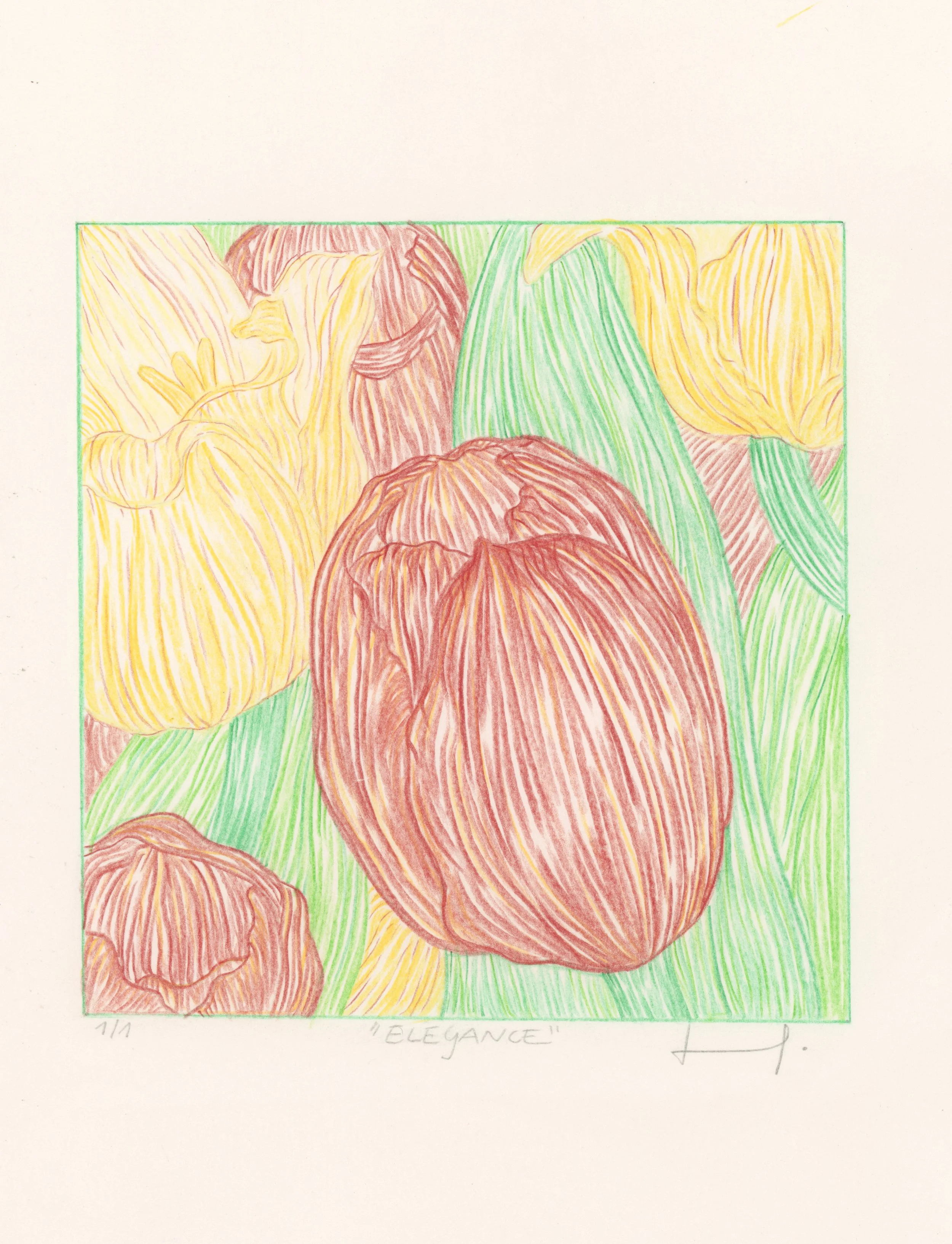 Colorful sketch of flowers with yellow and brown petals and green leaves, titled 'Elegance' at the bottom.