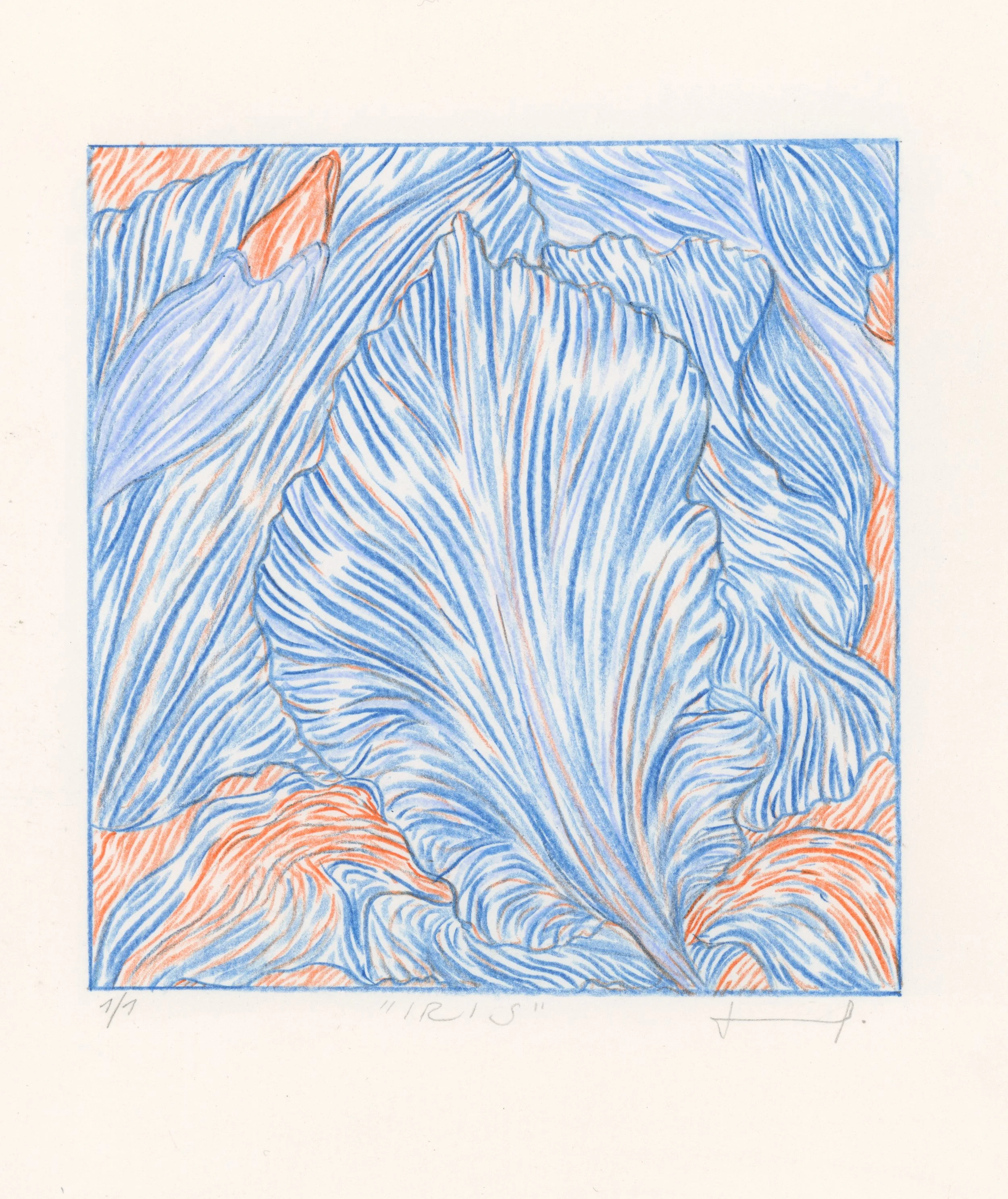 Custom Drawing GIFT CARD A5/A4 size