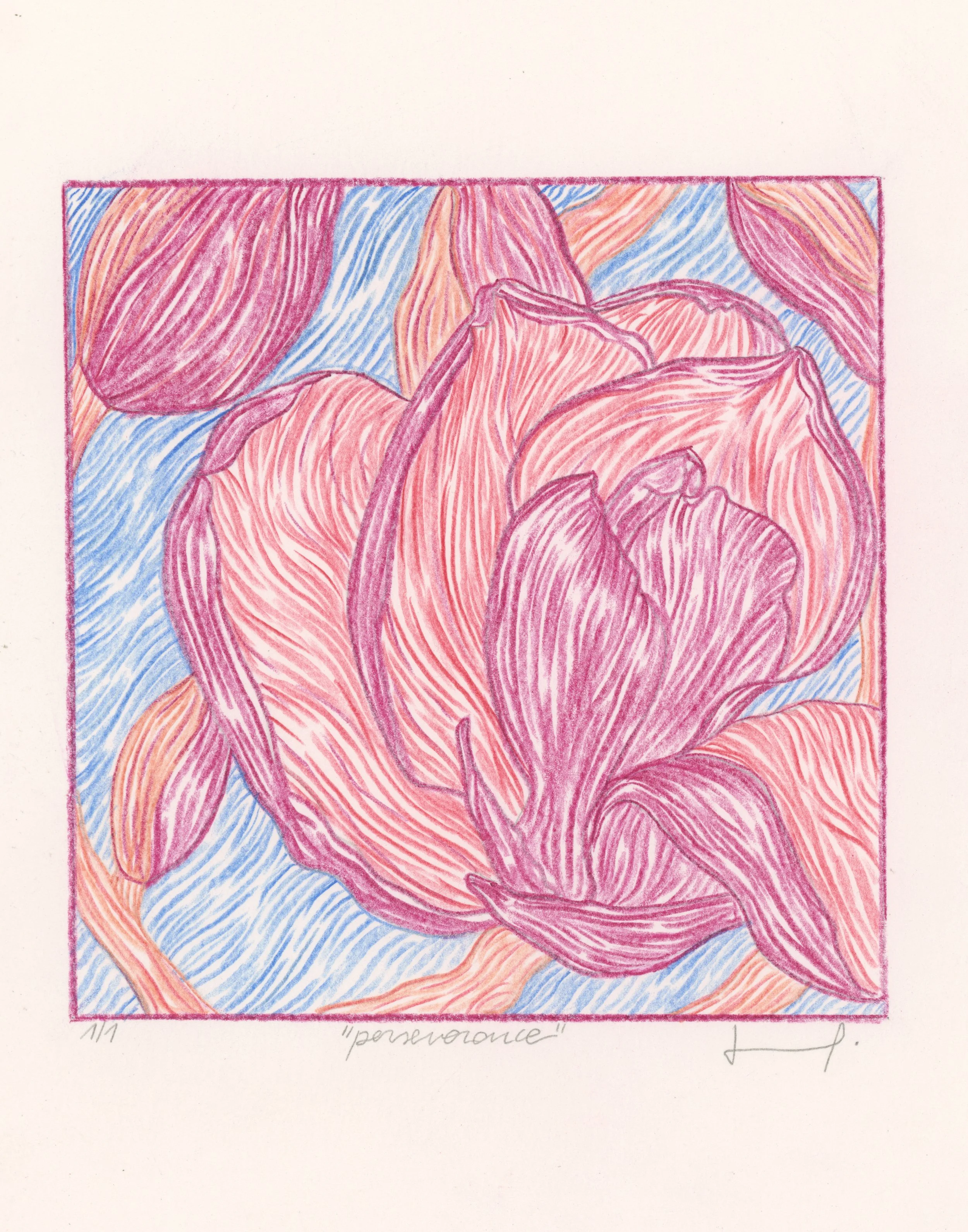 Colorful abstract drawing of flower petals in shades of pink, purple, orange, and blue, with curved lines and varying textures.