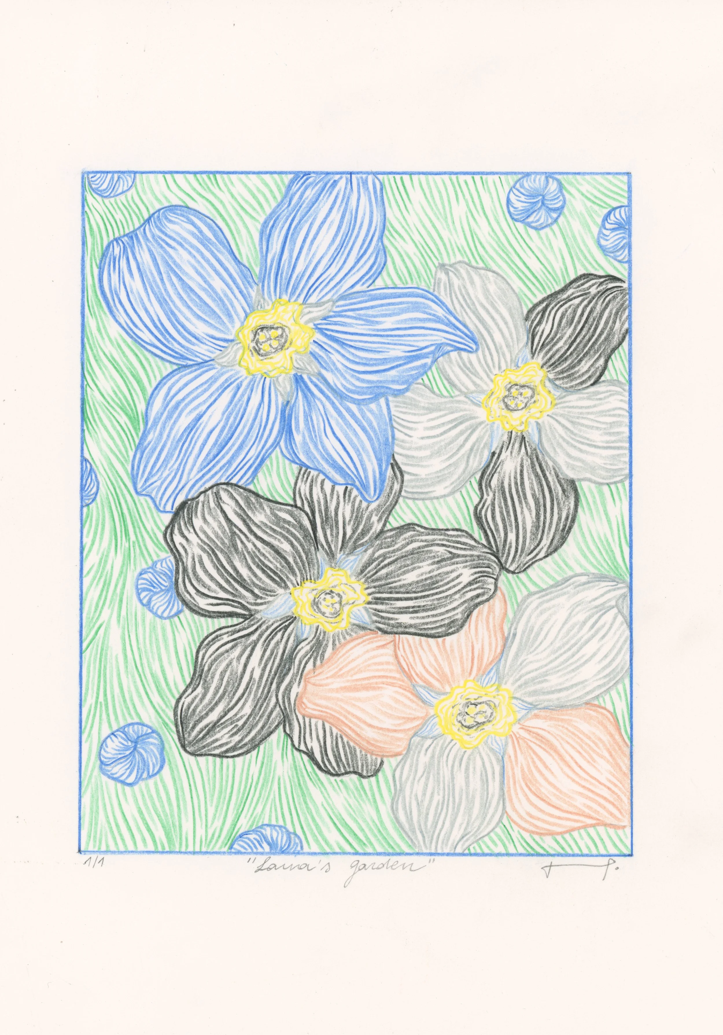 Colorful drawing of flowers with large petals in blue, gray, black, peach, and yellow colors, set against a green background with blue accents, titled 'Laura's garden'.
