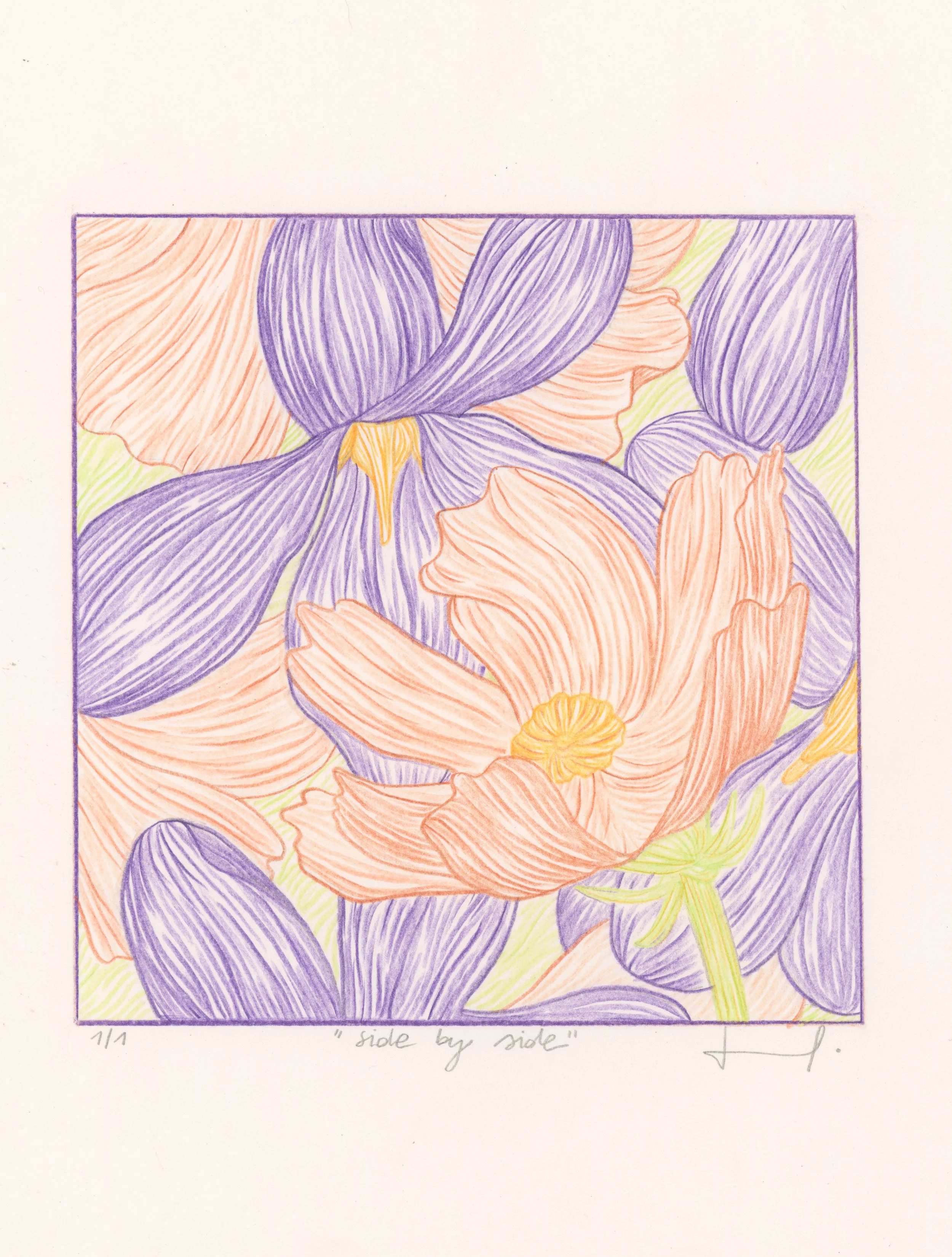 Scan 9.jpeg