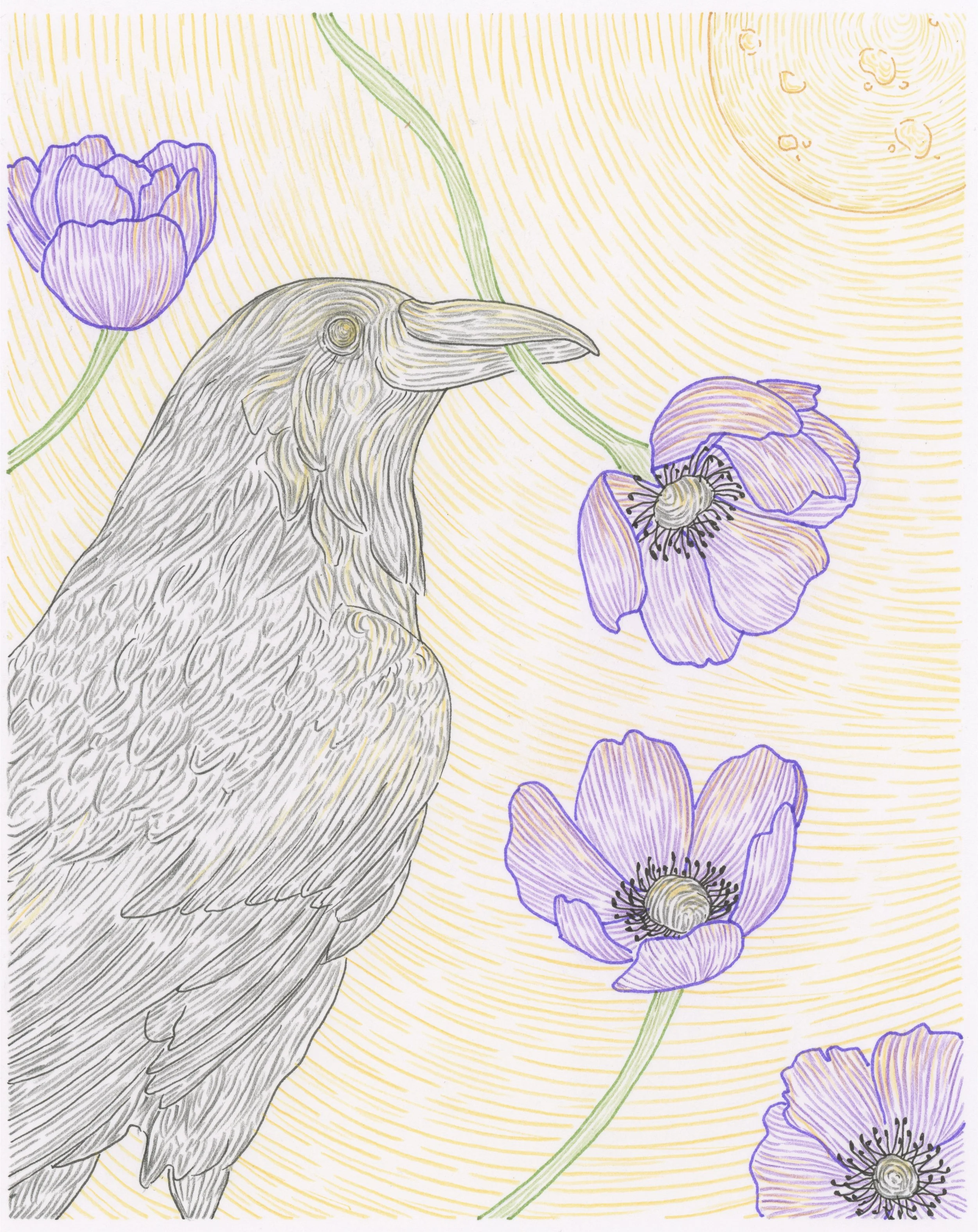 A line drawing of a raven holding a purple flower in its beak, with several purple flowers and swirling background lines in yellow and orange.