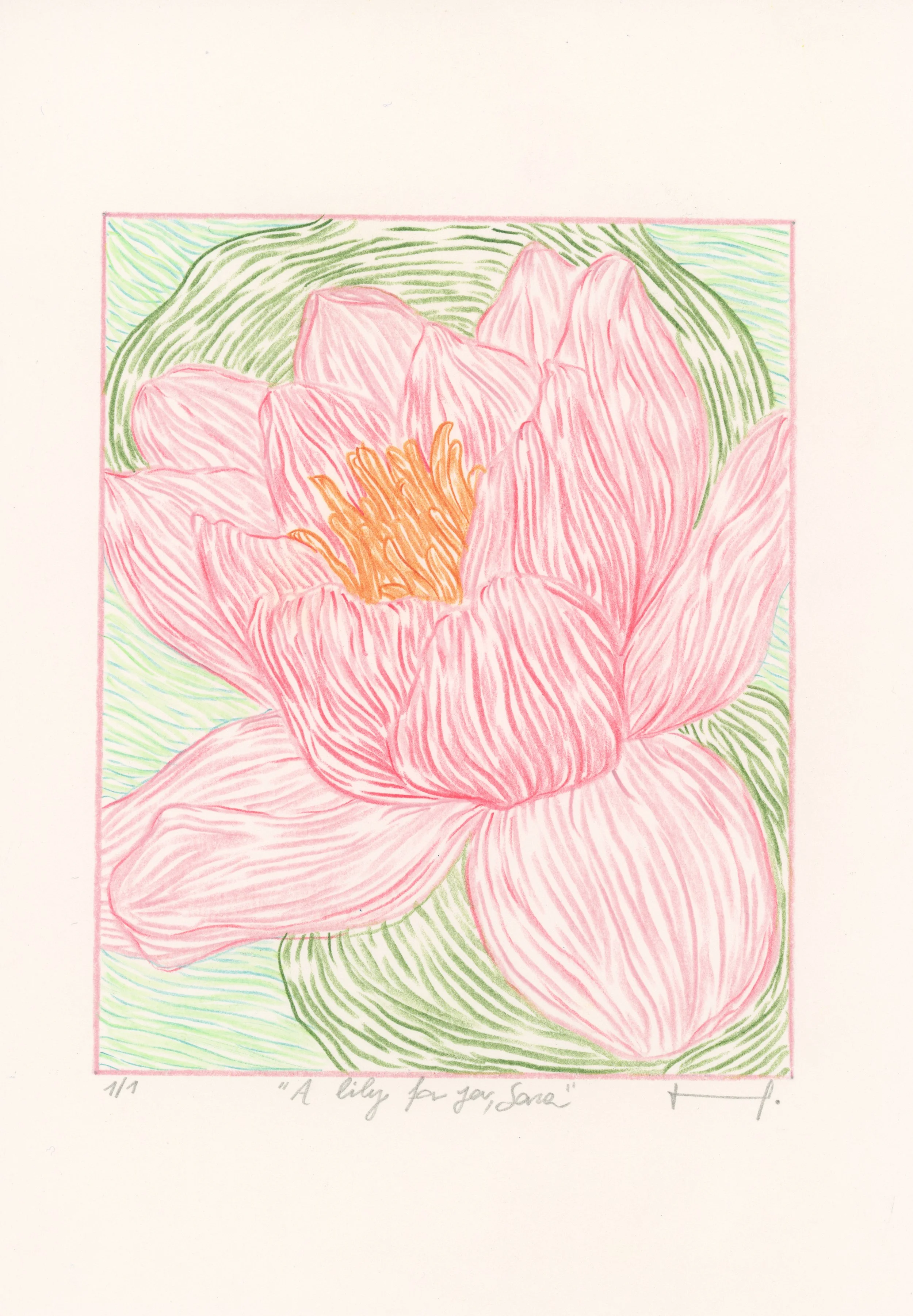 Colorful drawing of a pink lily with orange stamens, surrounded by green leaves, enclosed within a pink border, with handwritten notes below: