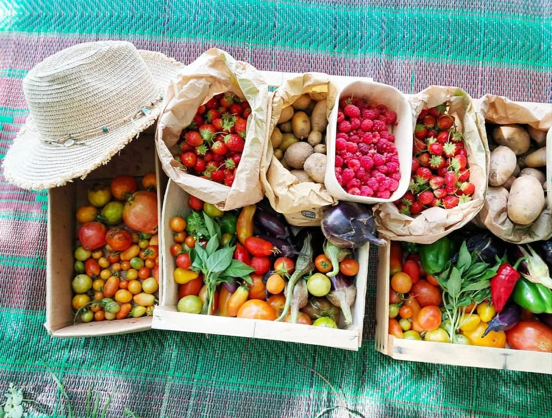 savoir-faire nourriciers