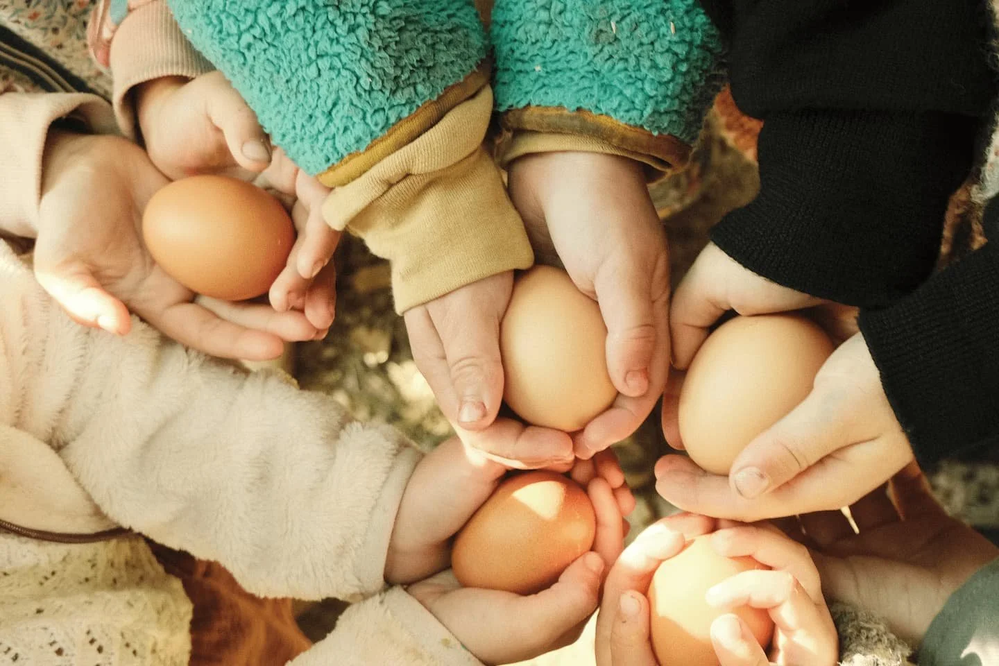 Histoire buissonnière - Ecole en nature