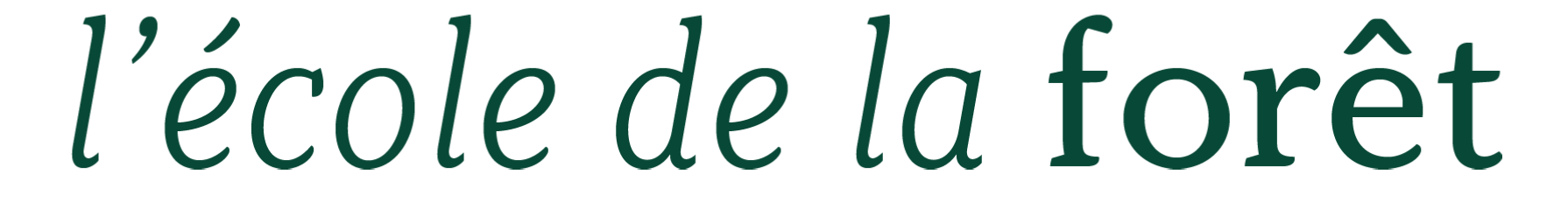 Ecole de la Forêt - Éducation