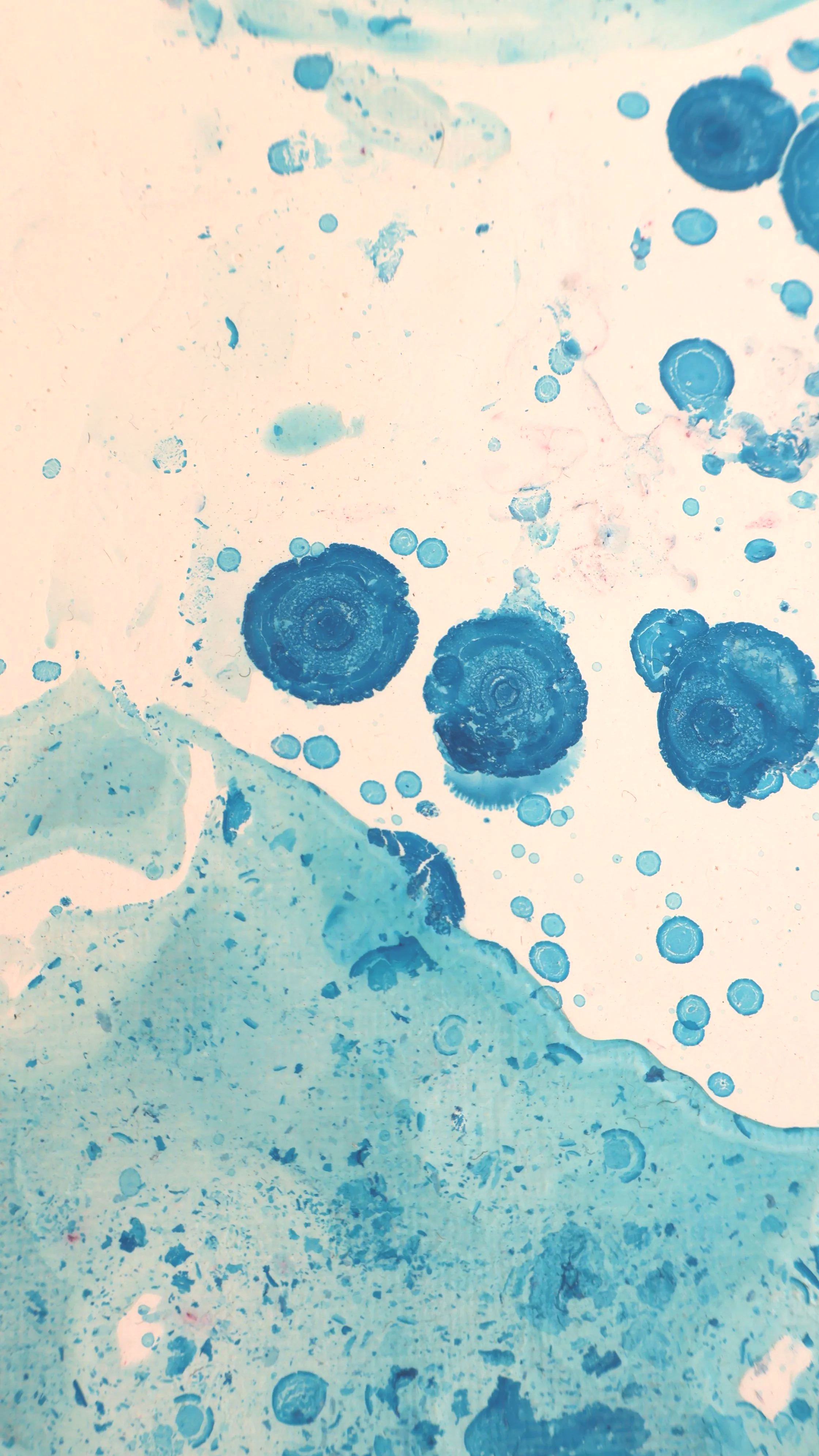 ‘Heridas’ , 2025, Acryic, silk paper, oil, 80×120 cm details