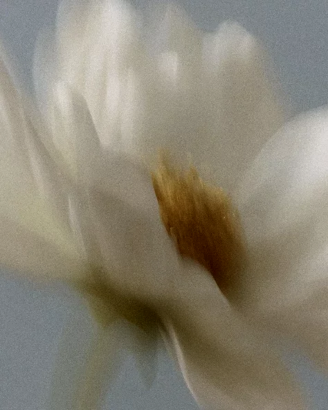 Kim Kitschenberg Somatic Experiencing Practitioner Trauma Therapie